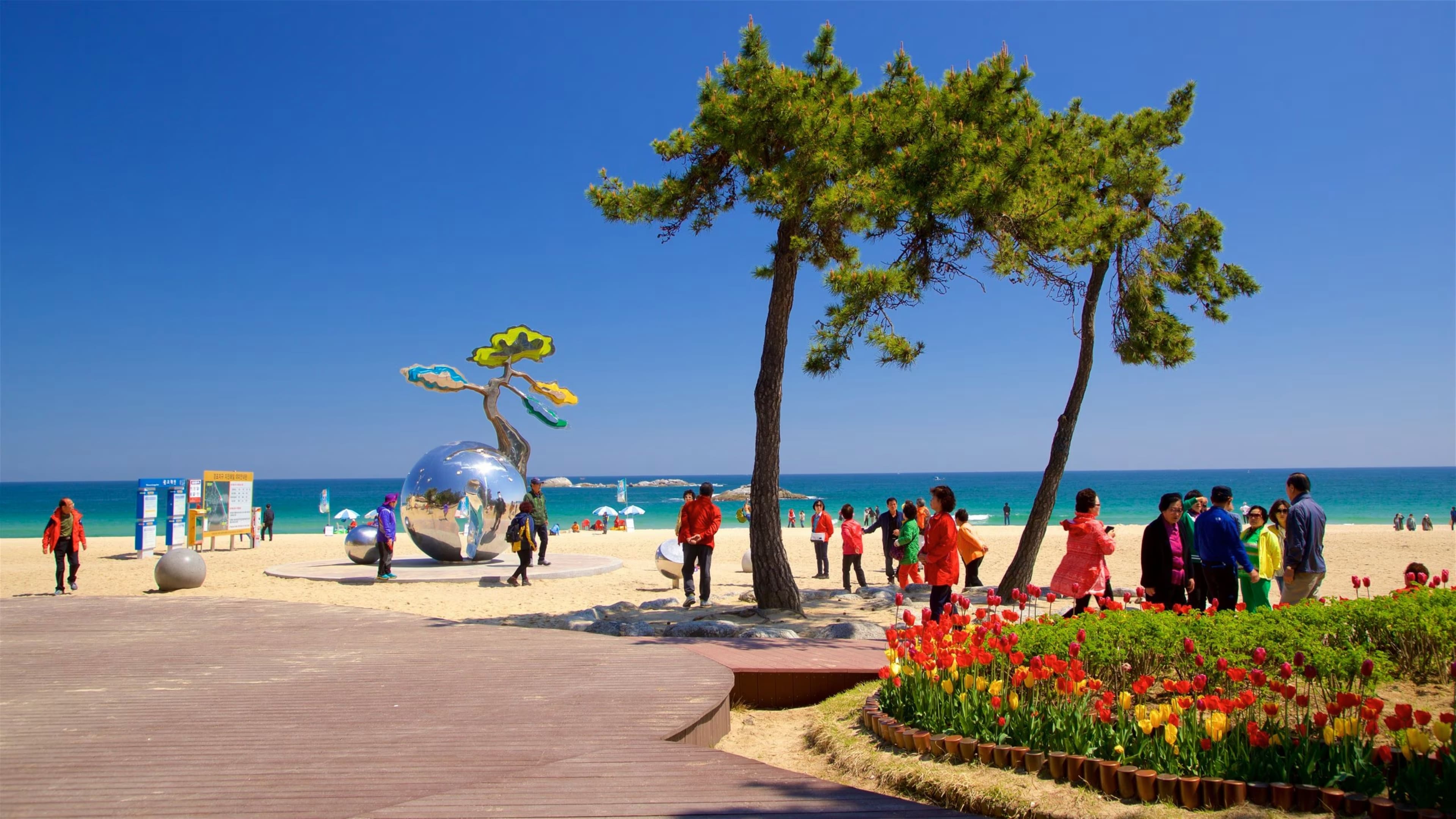 Gyeongpo Beach in south korea