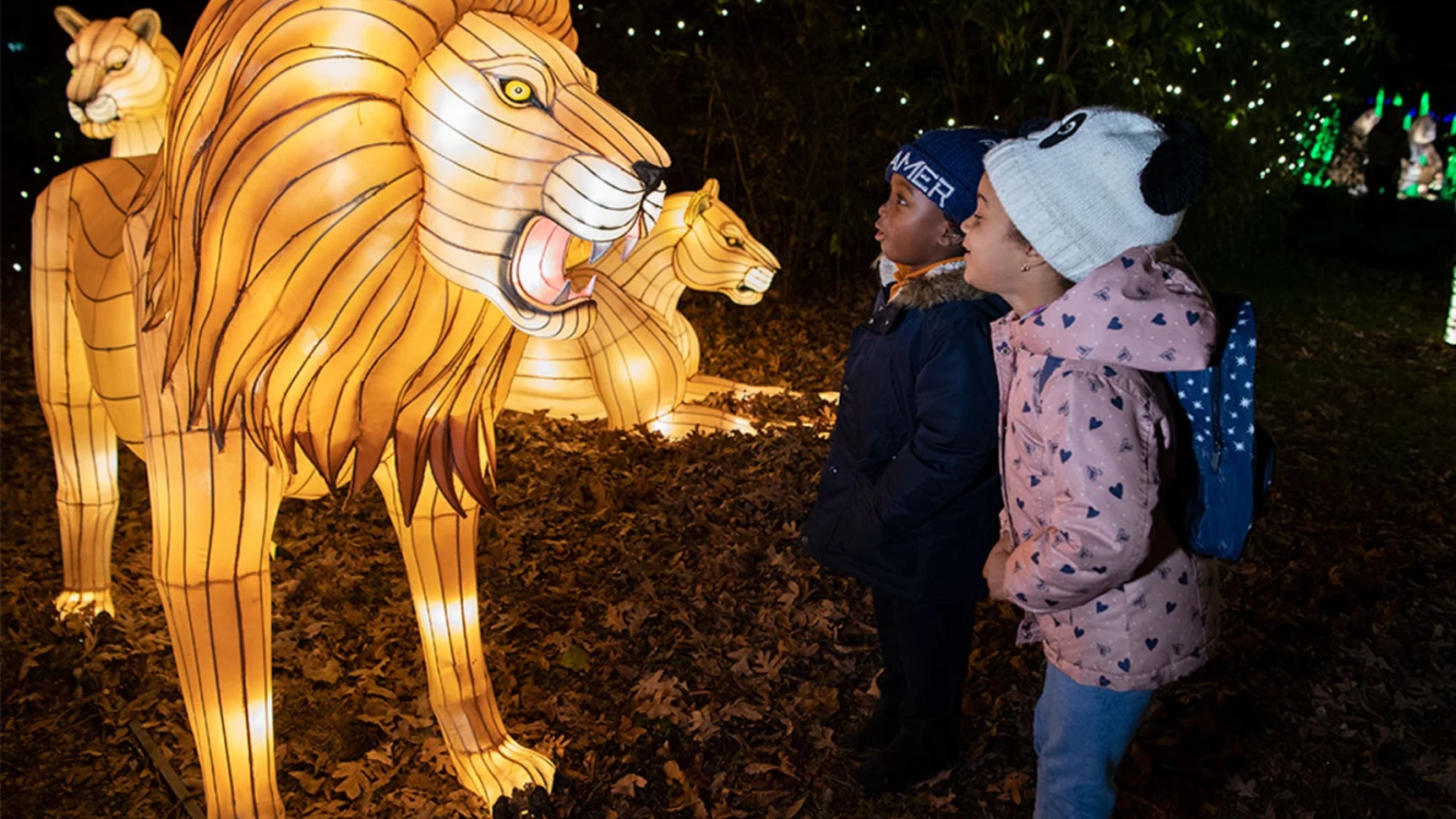 Christmas things to do in NYC with family - Bronx Zoo Holiday Lights 