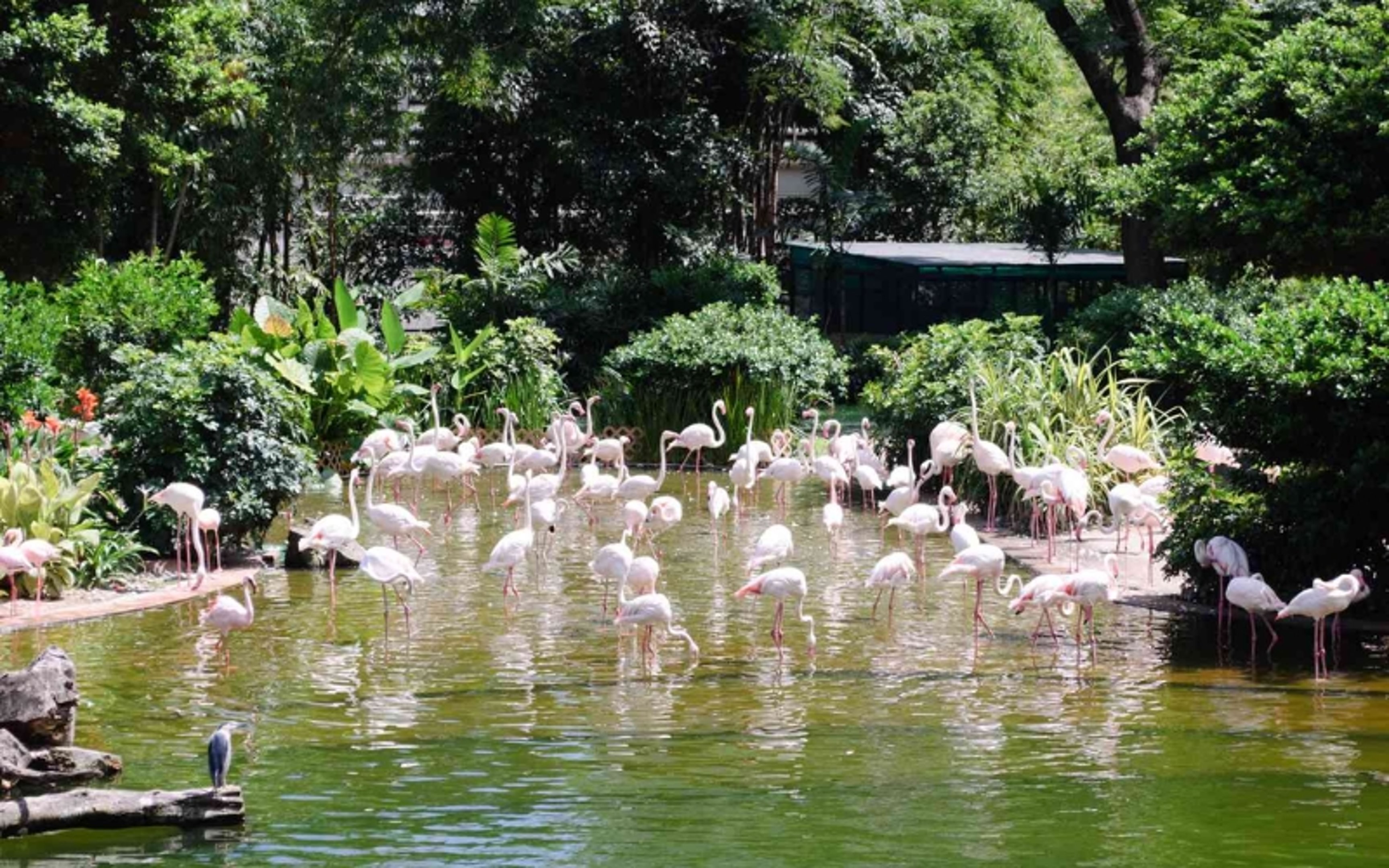 hong kong itinerary - Kowloon Park