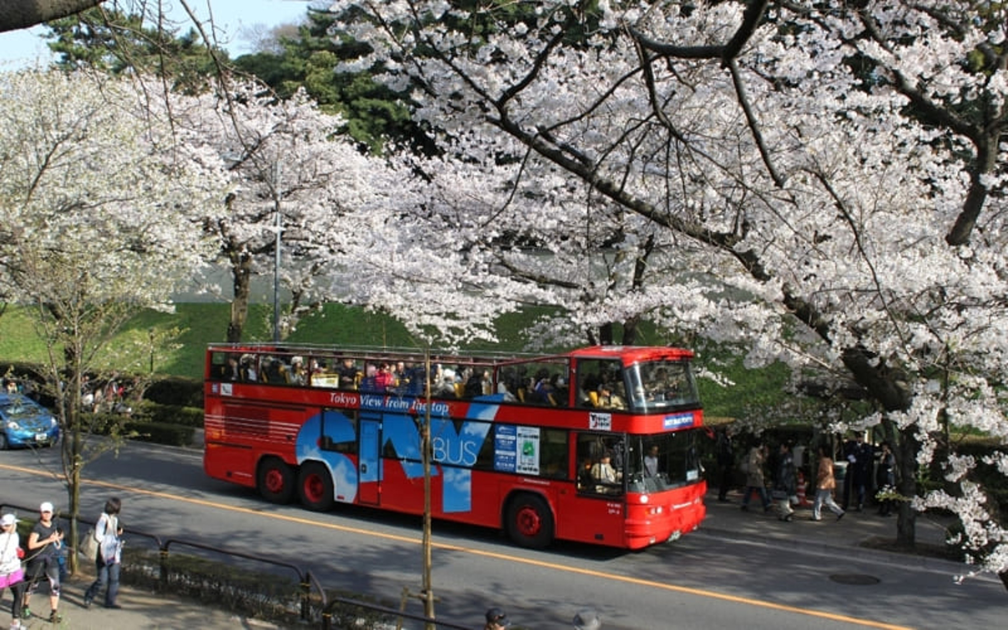 Bus is a cheap way to get around Japan 