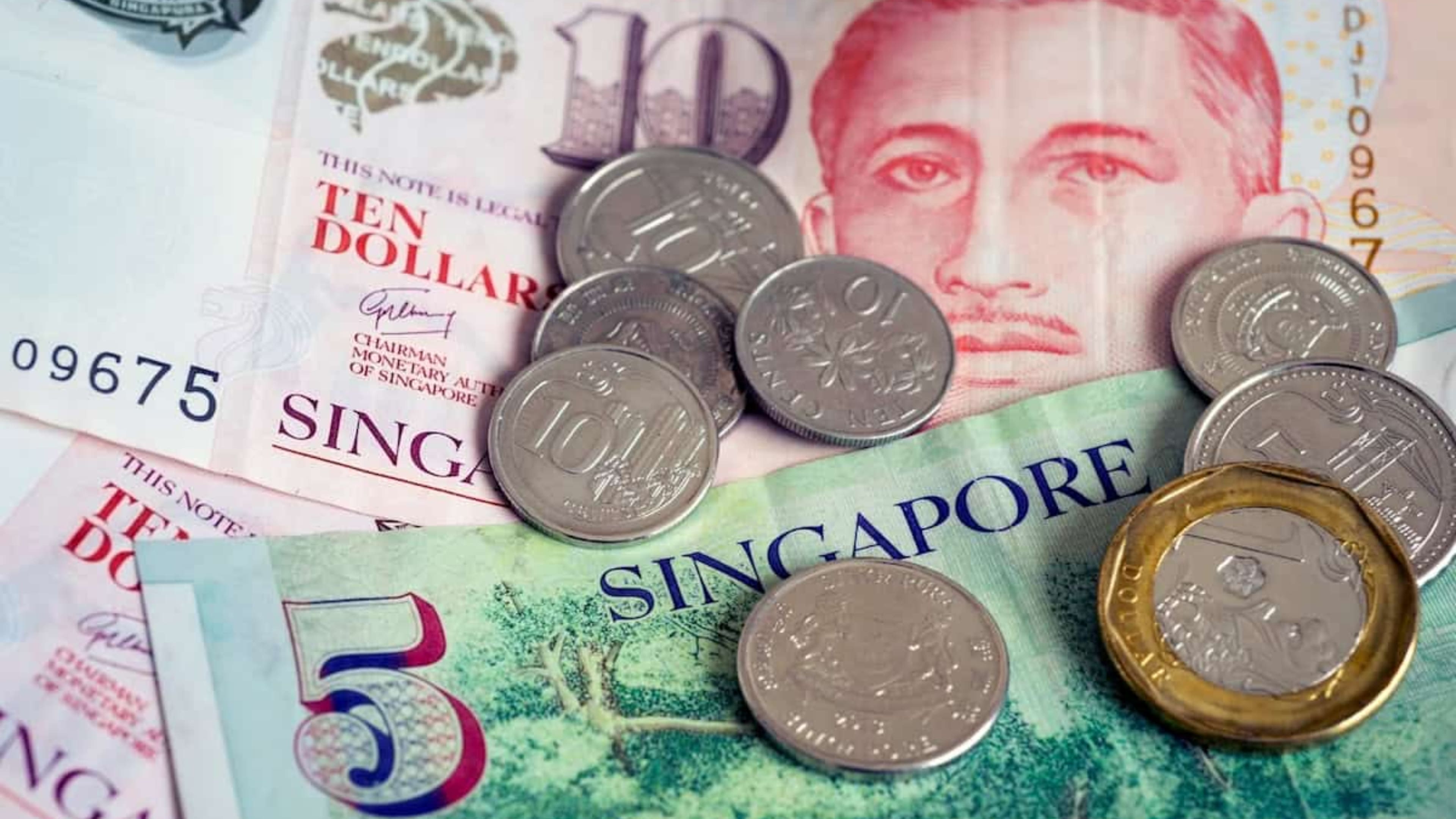 singapore souvenirs - pressed coins