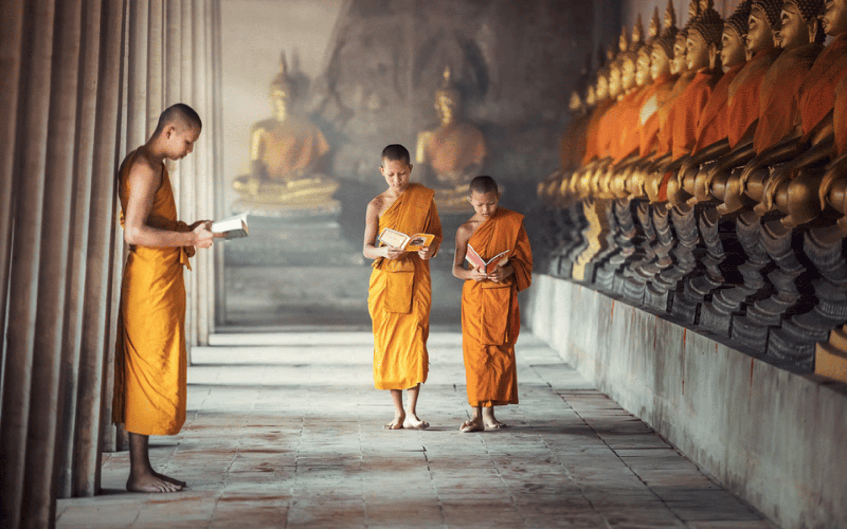 Disrespect Buddhists is one of things to avoid in Thailand