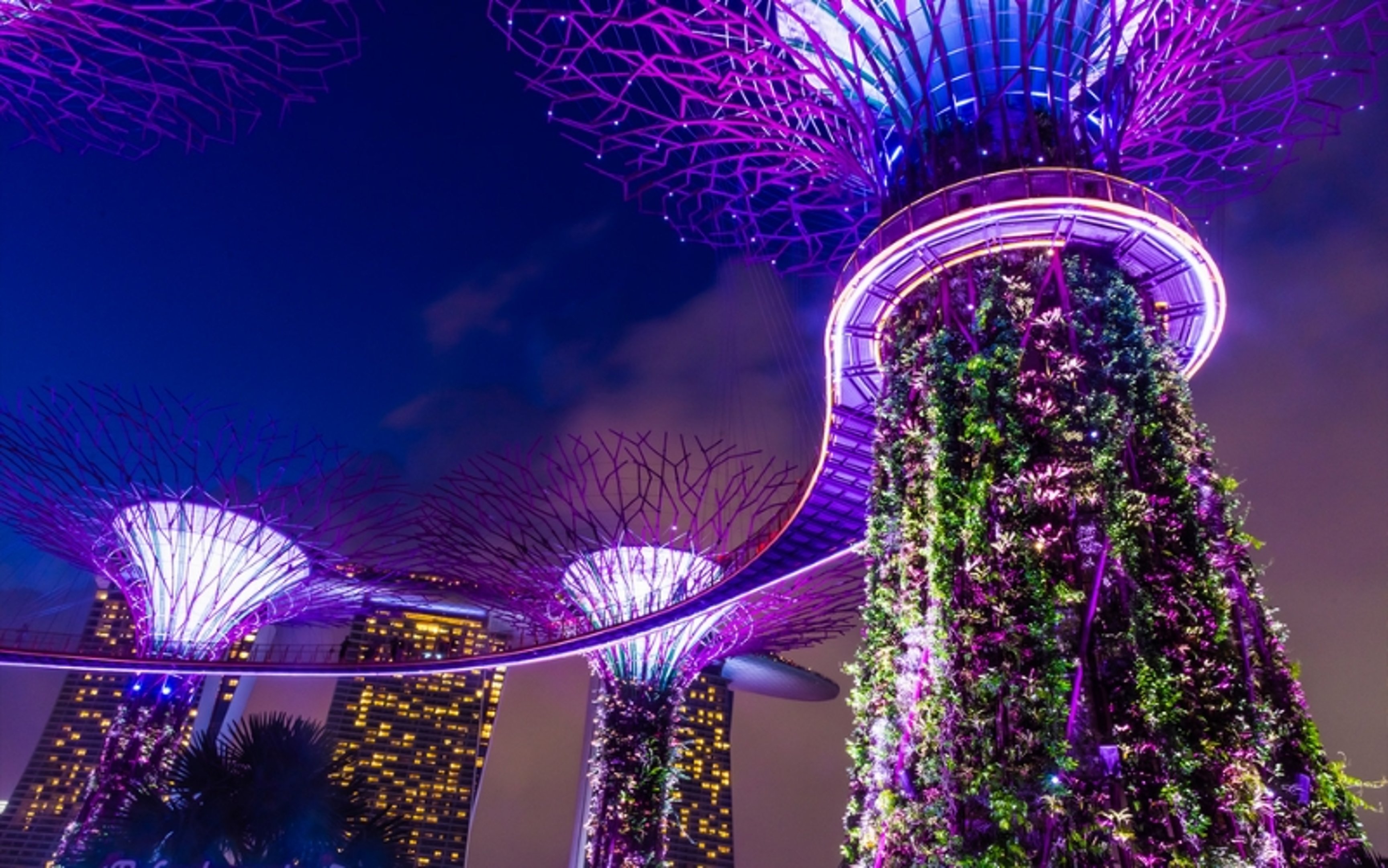 singapore in 3 days itinerary - garden rhapsody light show