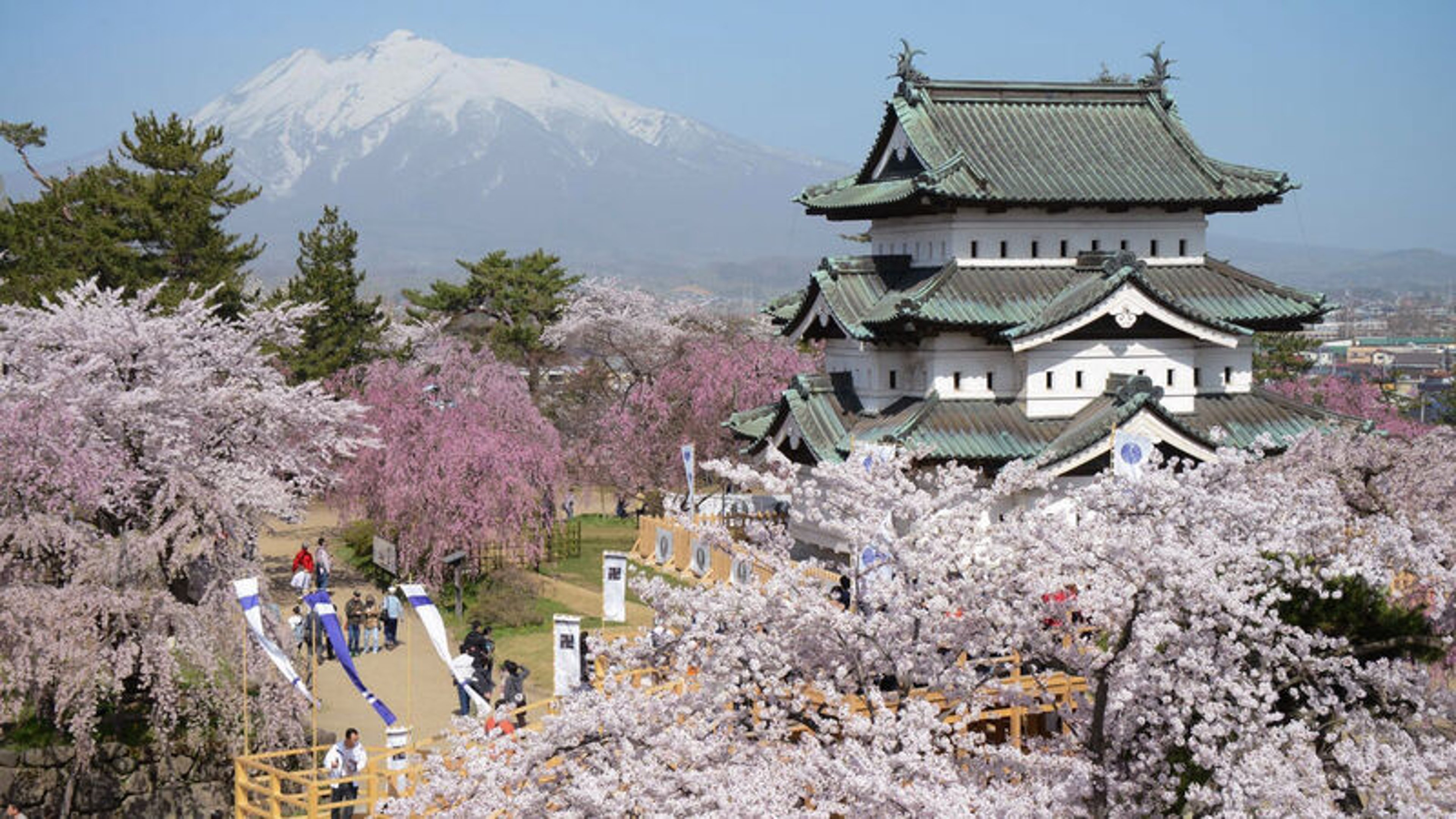 Hirosaki is well-known as one of the most spectacular sakura displays during the cherry blossom season in Japan.