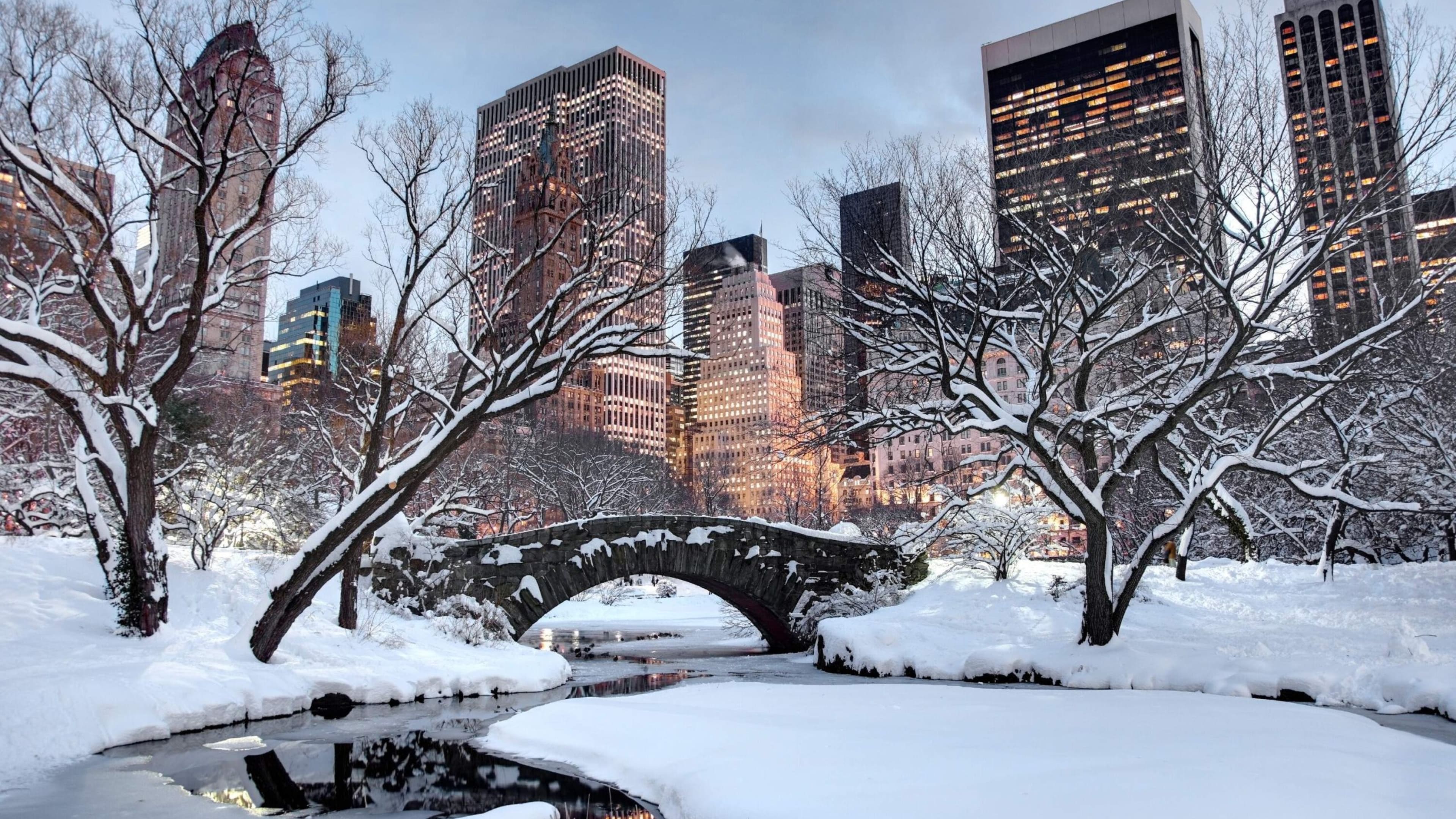 Free Things to Do in New York City at Christmas Time - visit Central Park