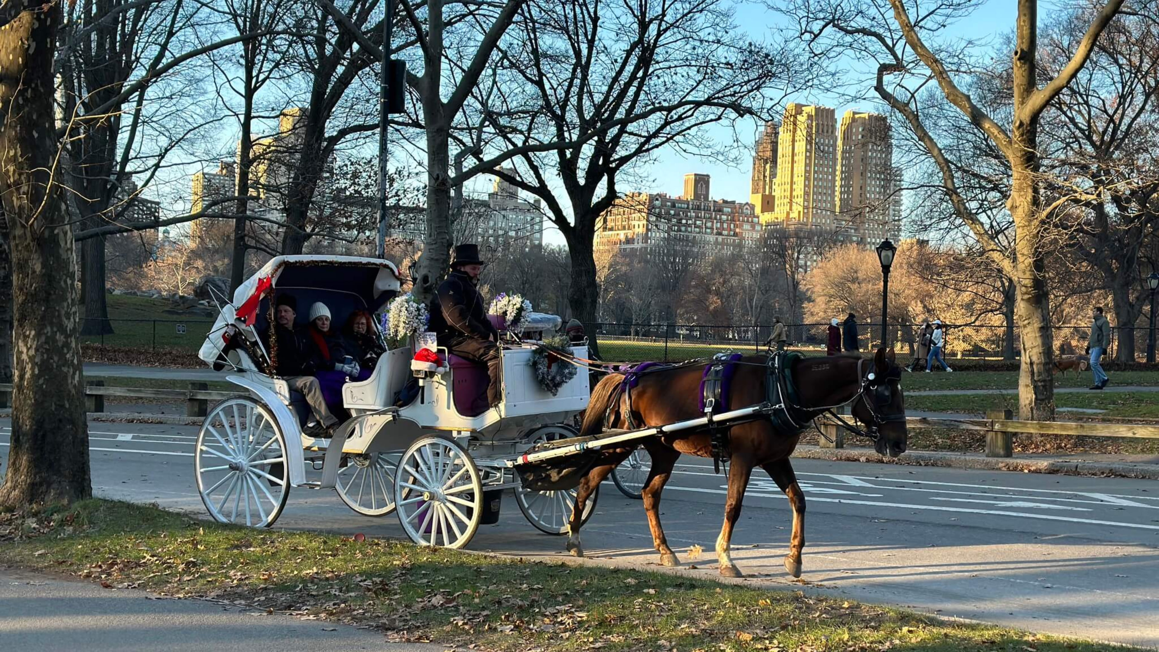 Romantic things to do in NYC at Christmas - Carriage Ride in Central Park