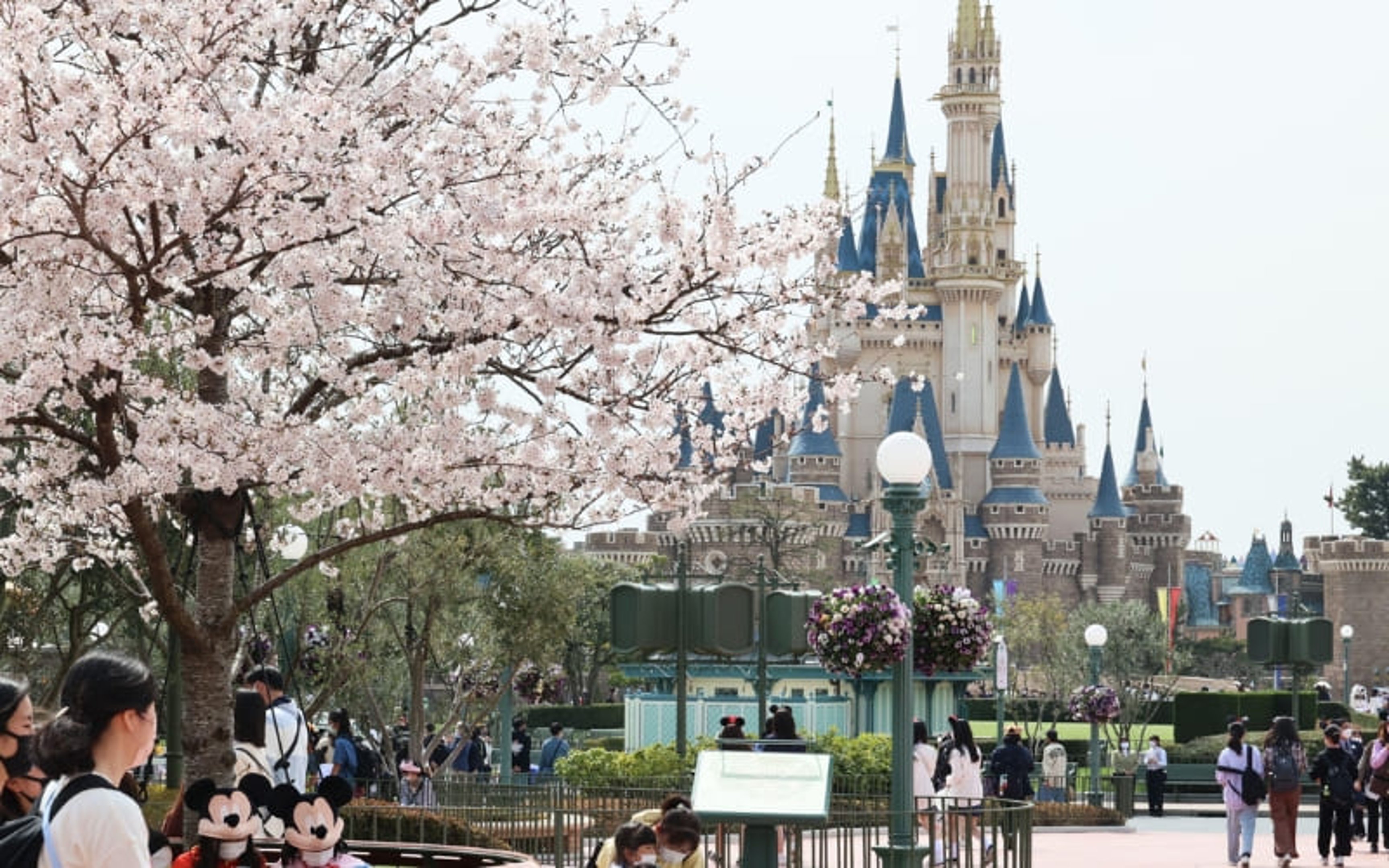 Japan travel cost when visiting tokyo disneyland