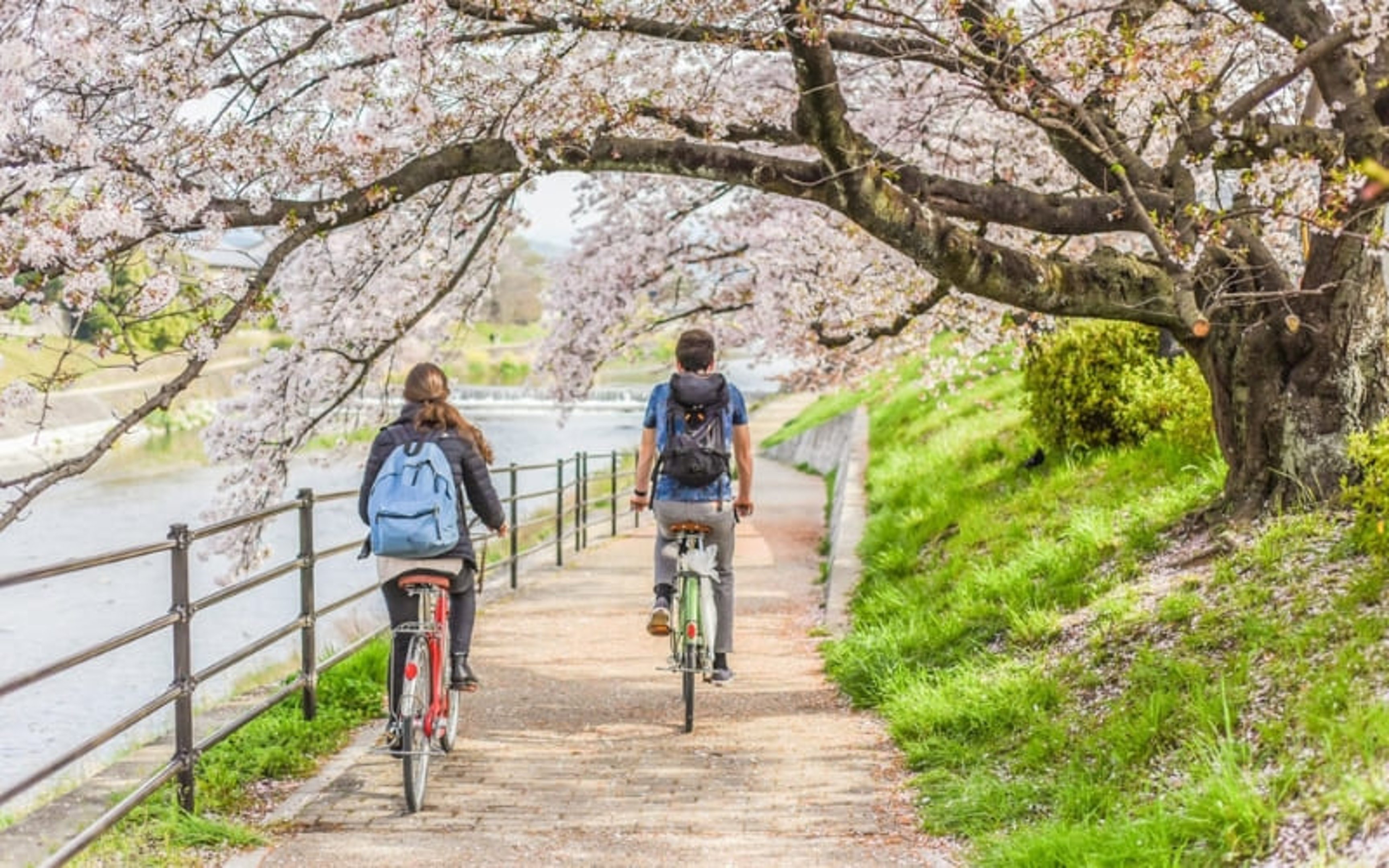 How to get around in Japan with bicycle