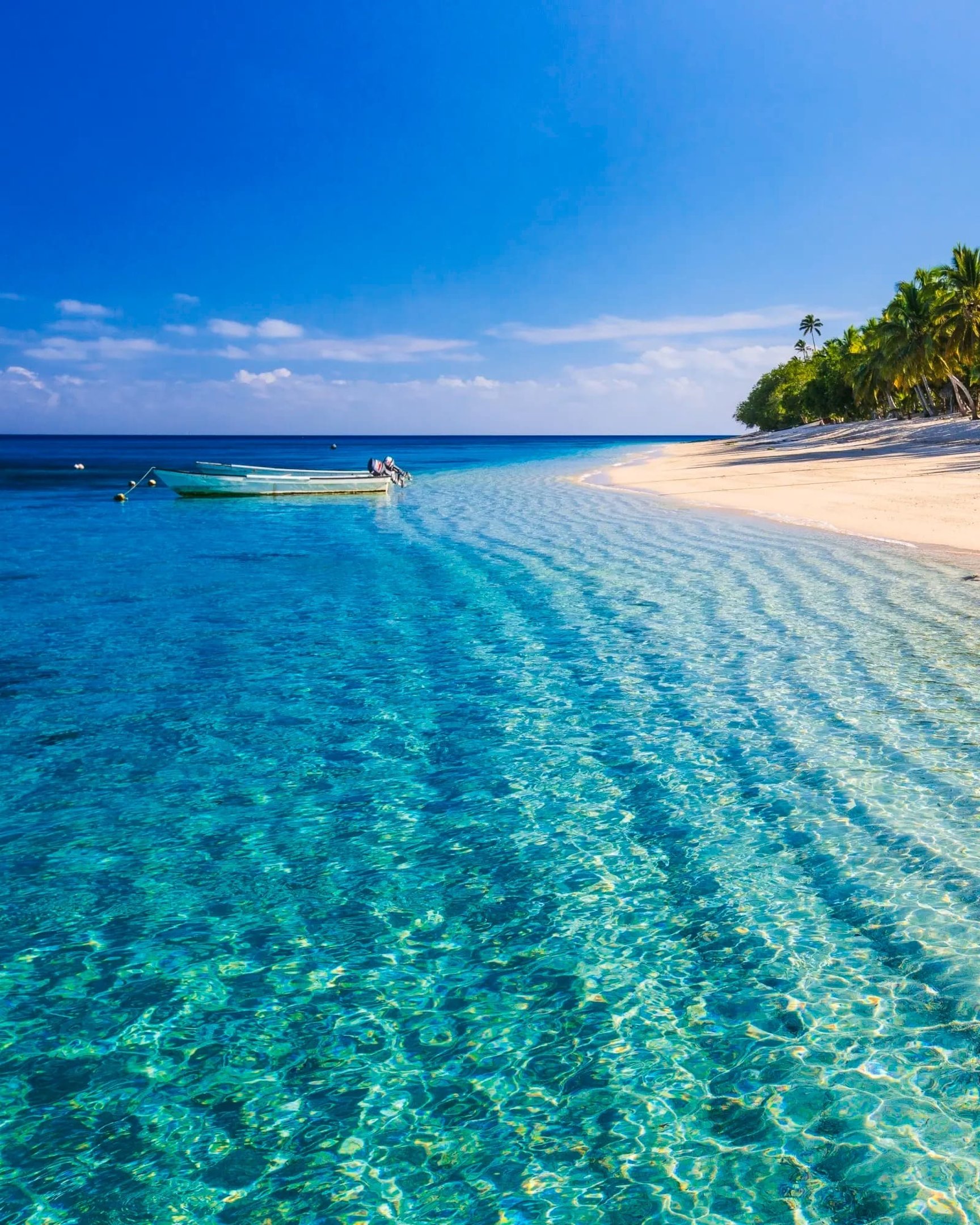 Private Nadi Airport Transfers (NAN)
