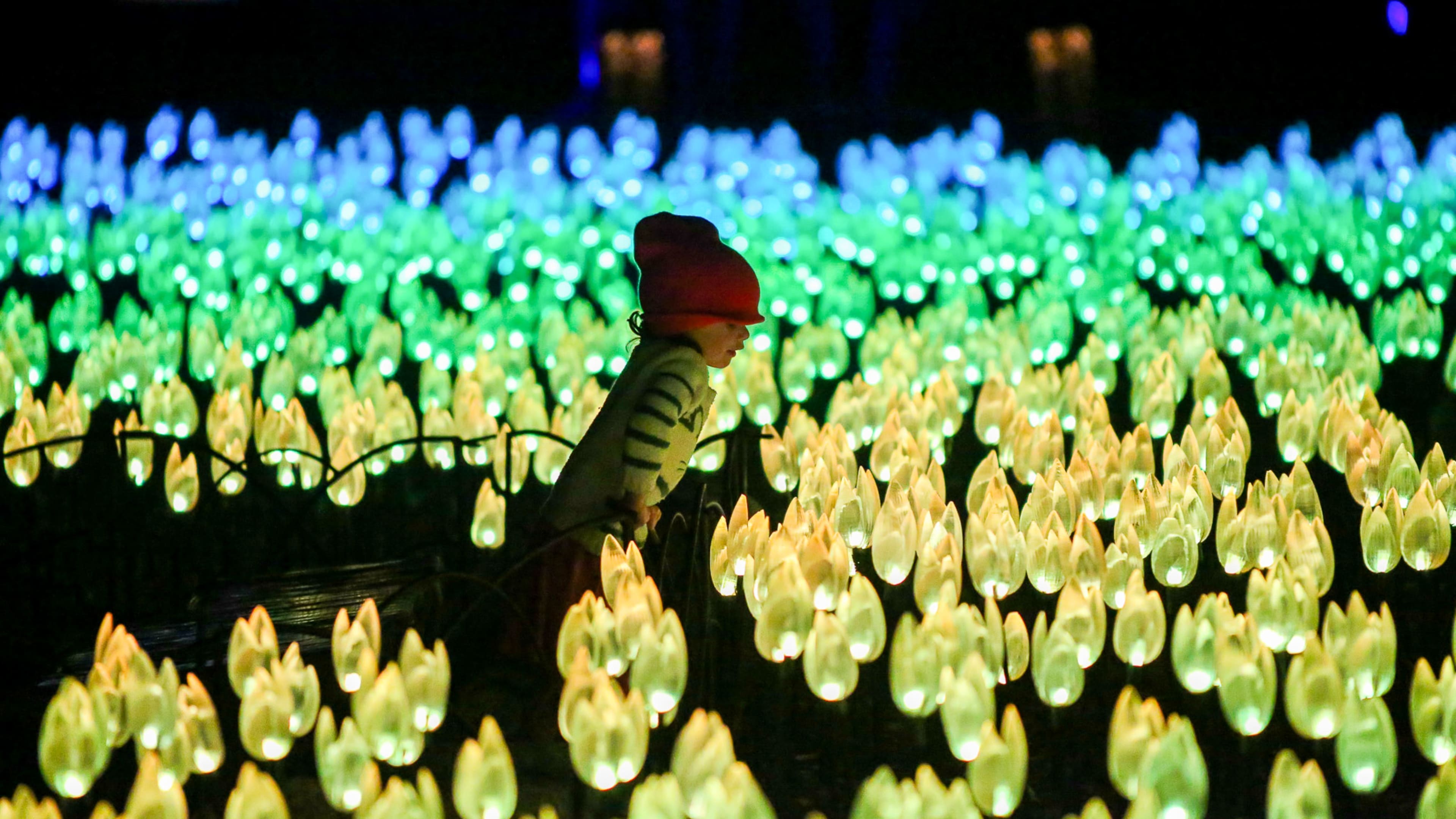 christmas events in los angeles​ - Enchanted Forest of Light at Descanso Gardens