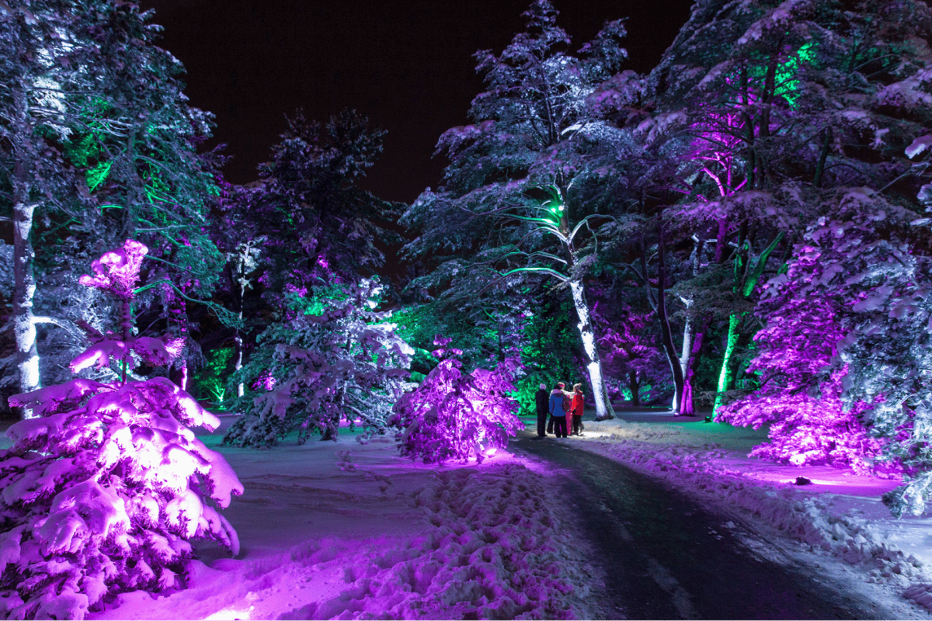 ZooLights at Lincoln Park Zoo