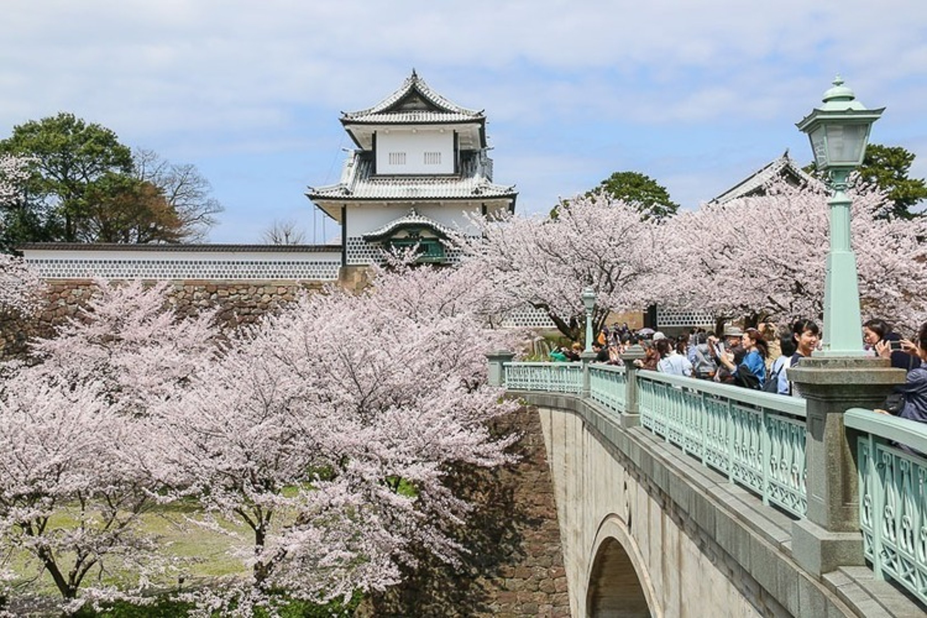 Kazawa becomes a popular spot to enjoy Japan's Sakura season with numerous cherry trees.