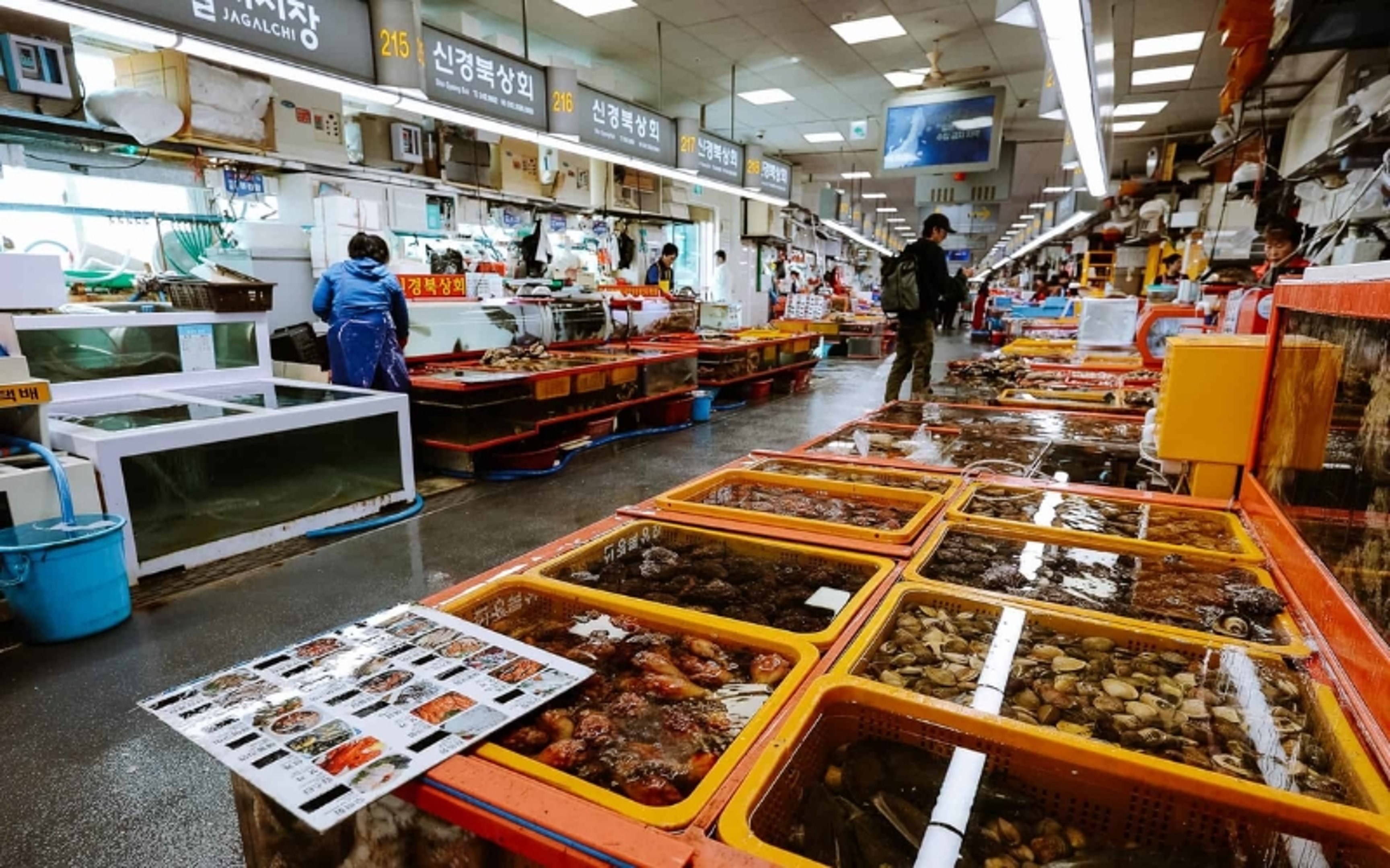 south korea itinerary - Jagalchi Fish Market