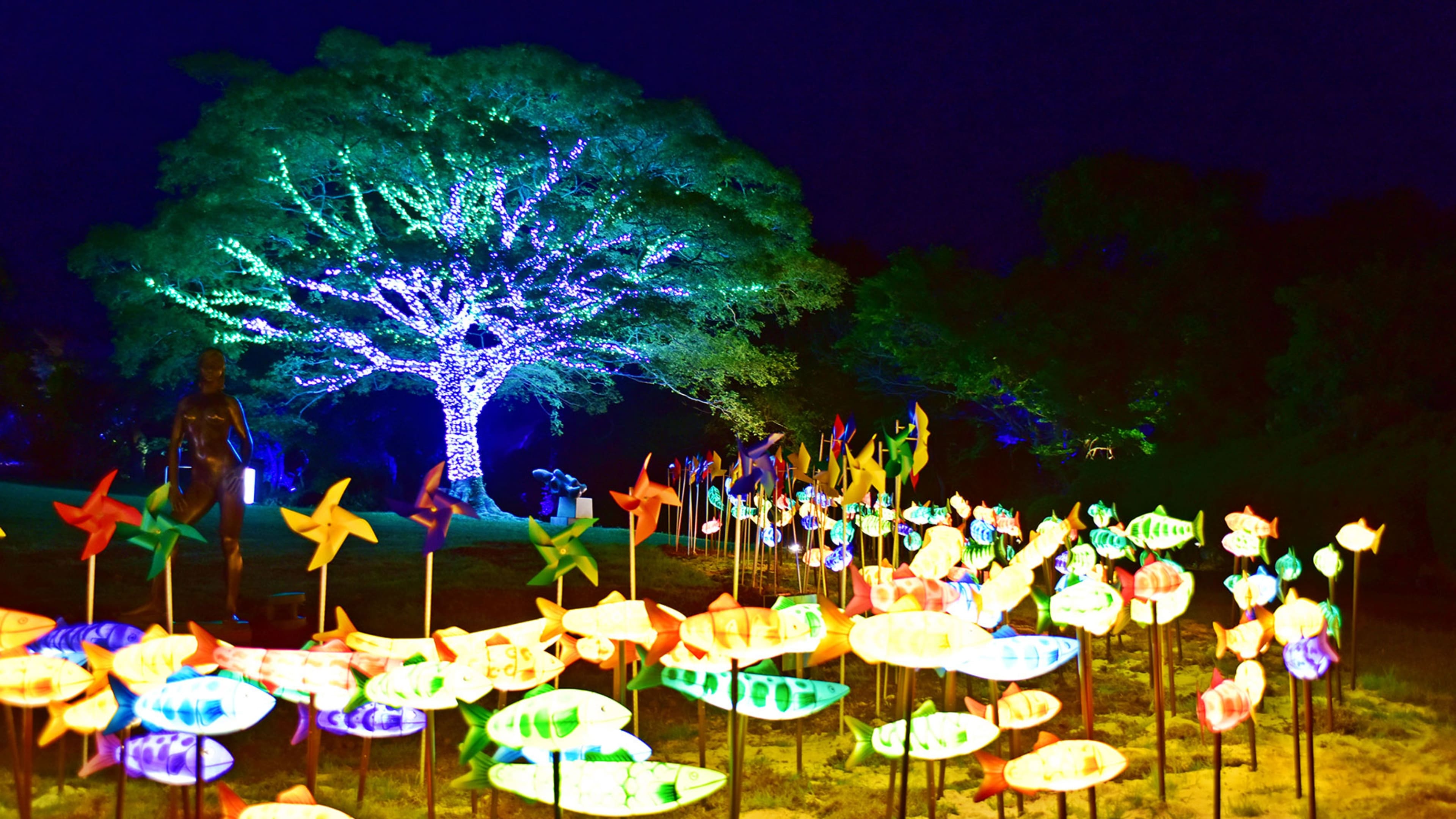 Jeju Island attractions - Jeju Light Garden