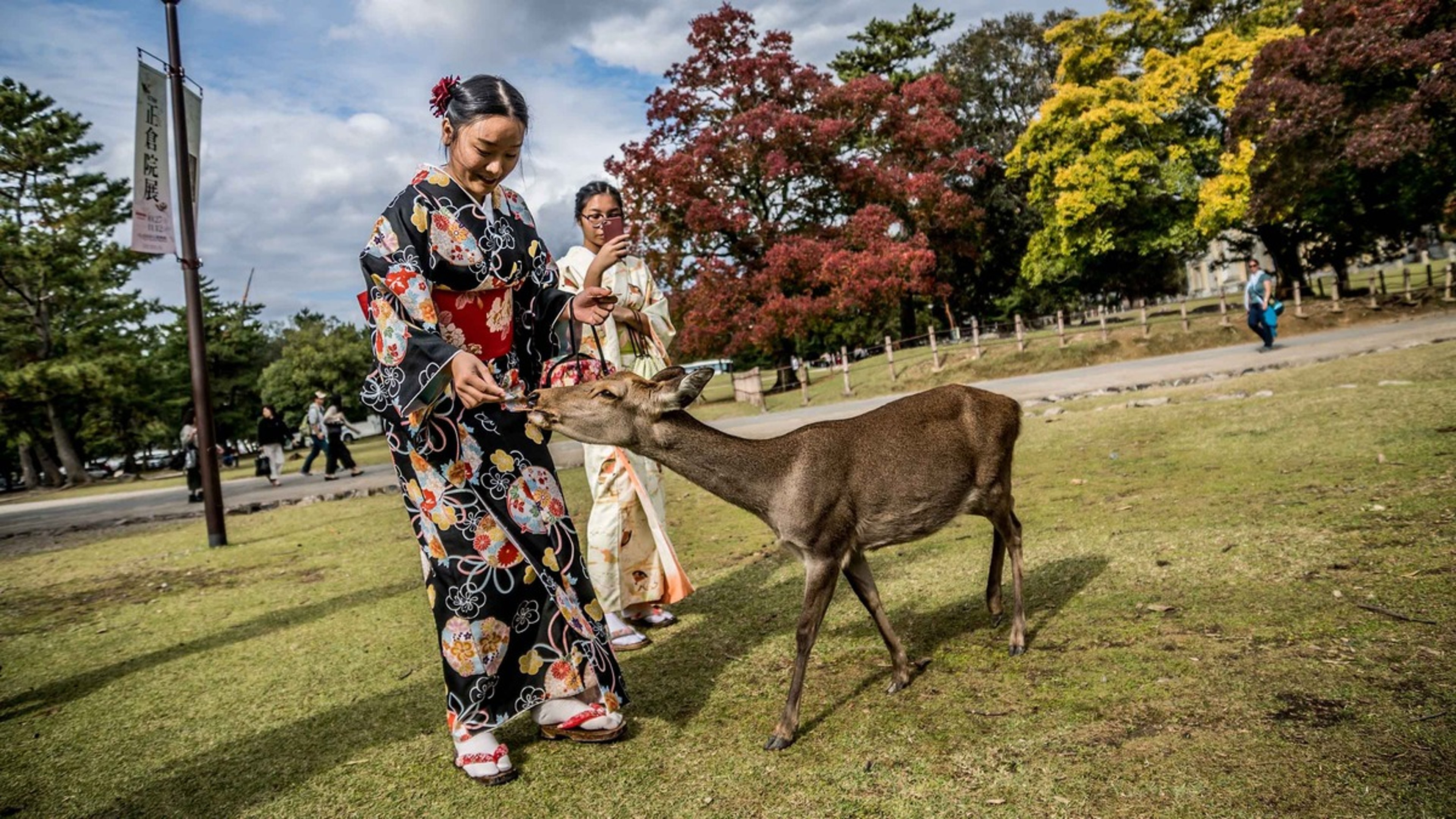 Travel to japan in 10 days - visit Nara