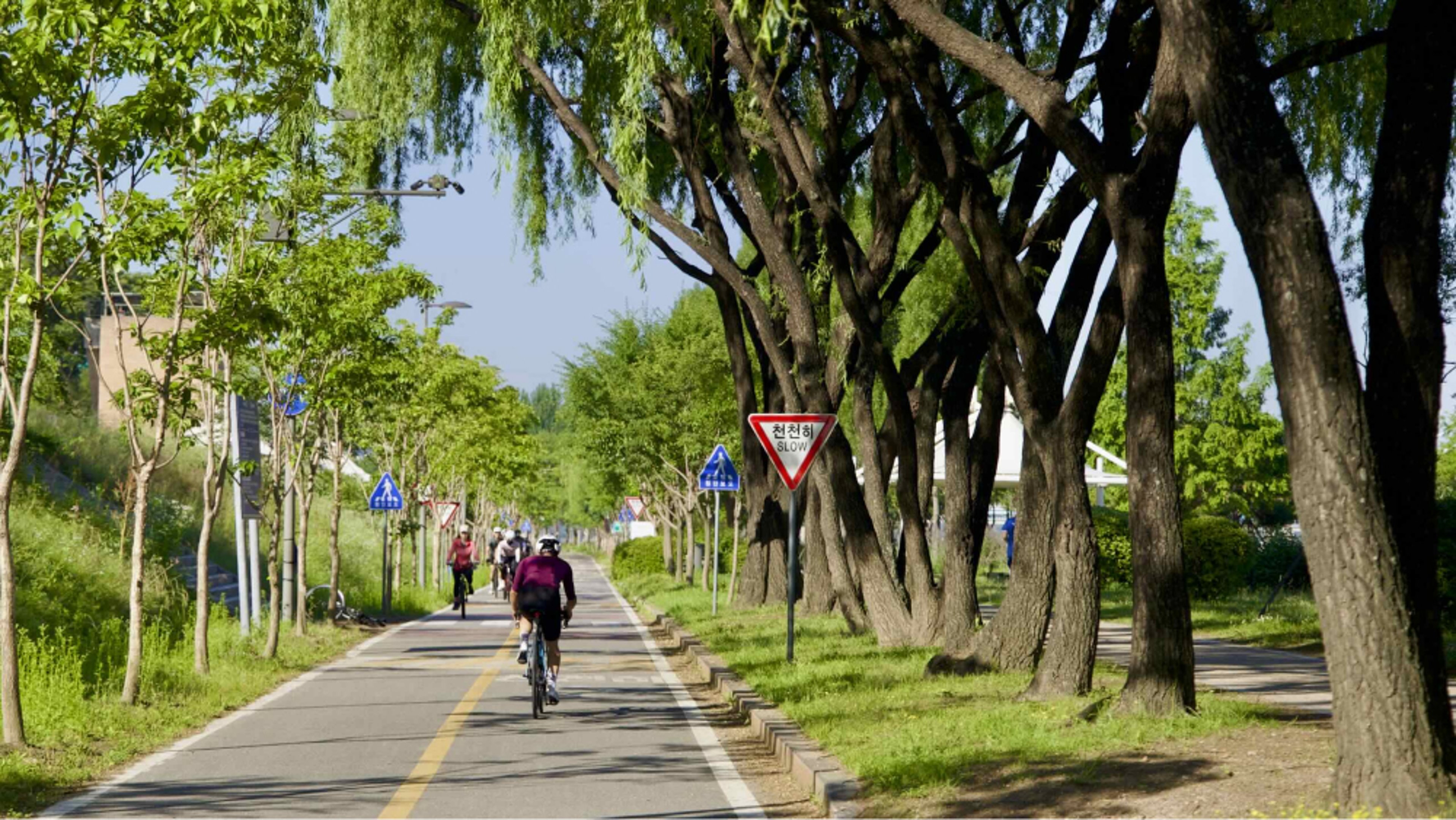 How to get around in South Korea - Bicycles