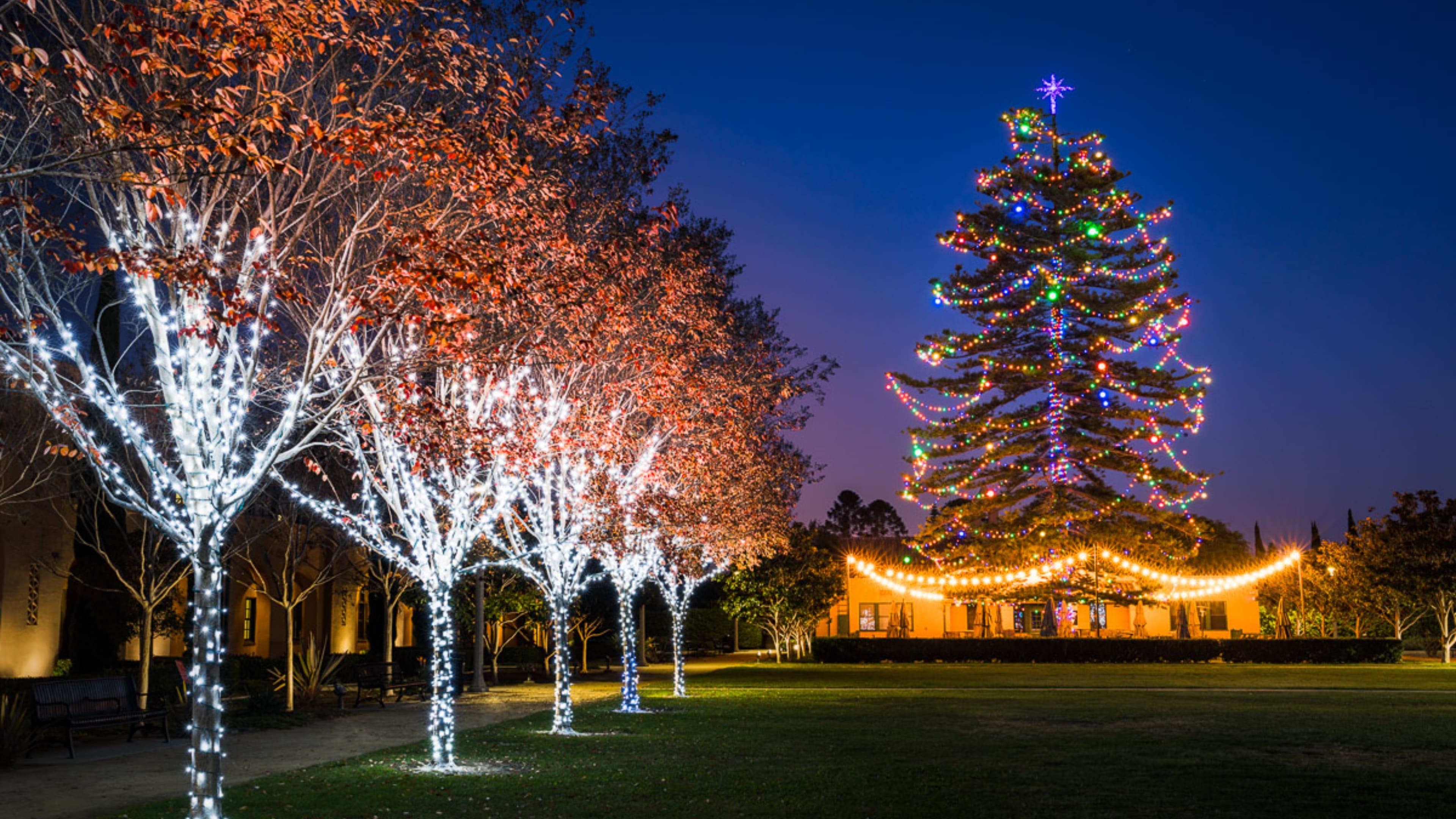 san diego christmas events - Liberty Station lightings