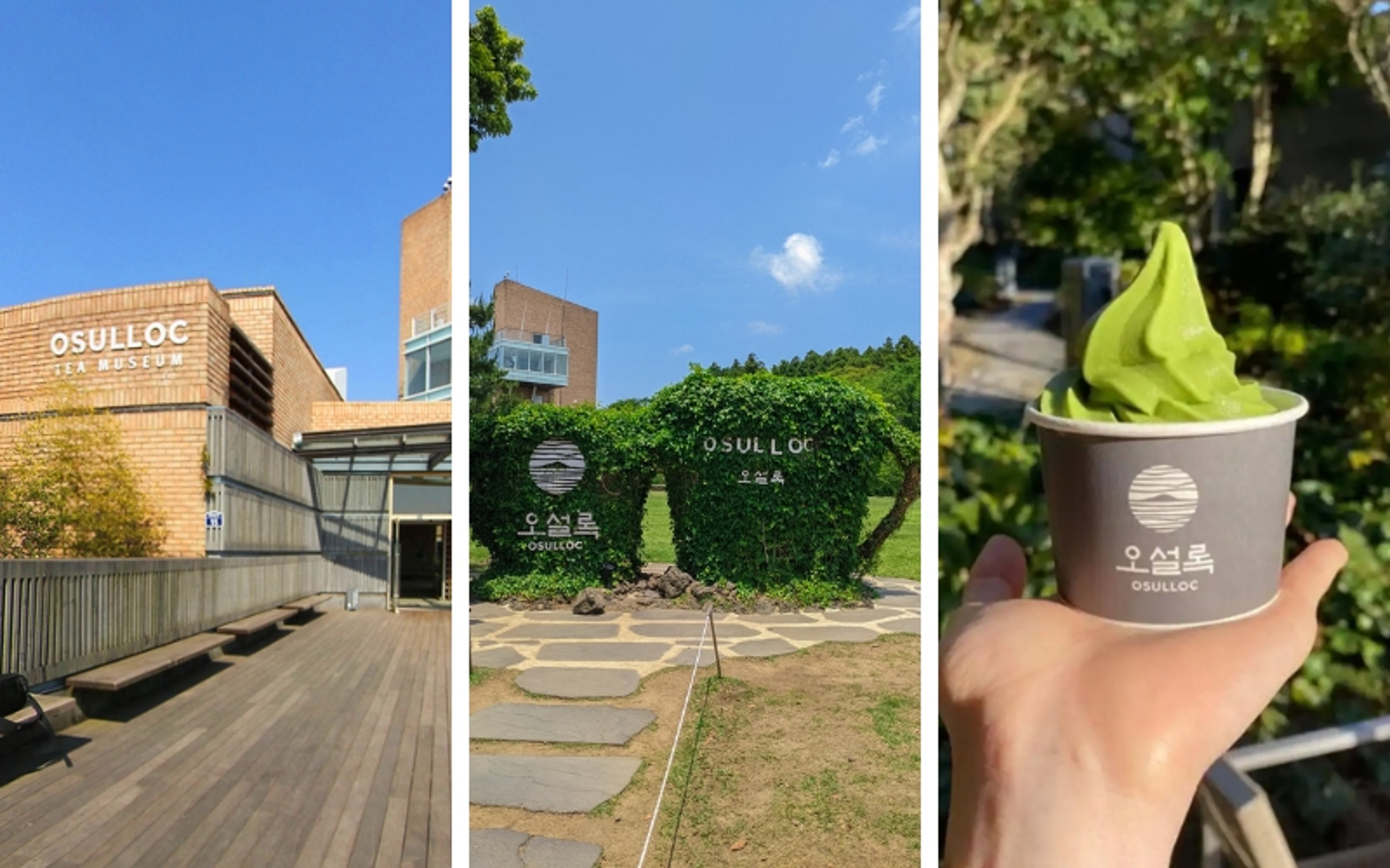 10 days in south korea - O’Sulloc Tea Museum