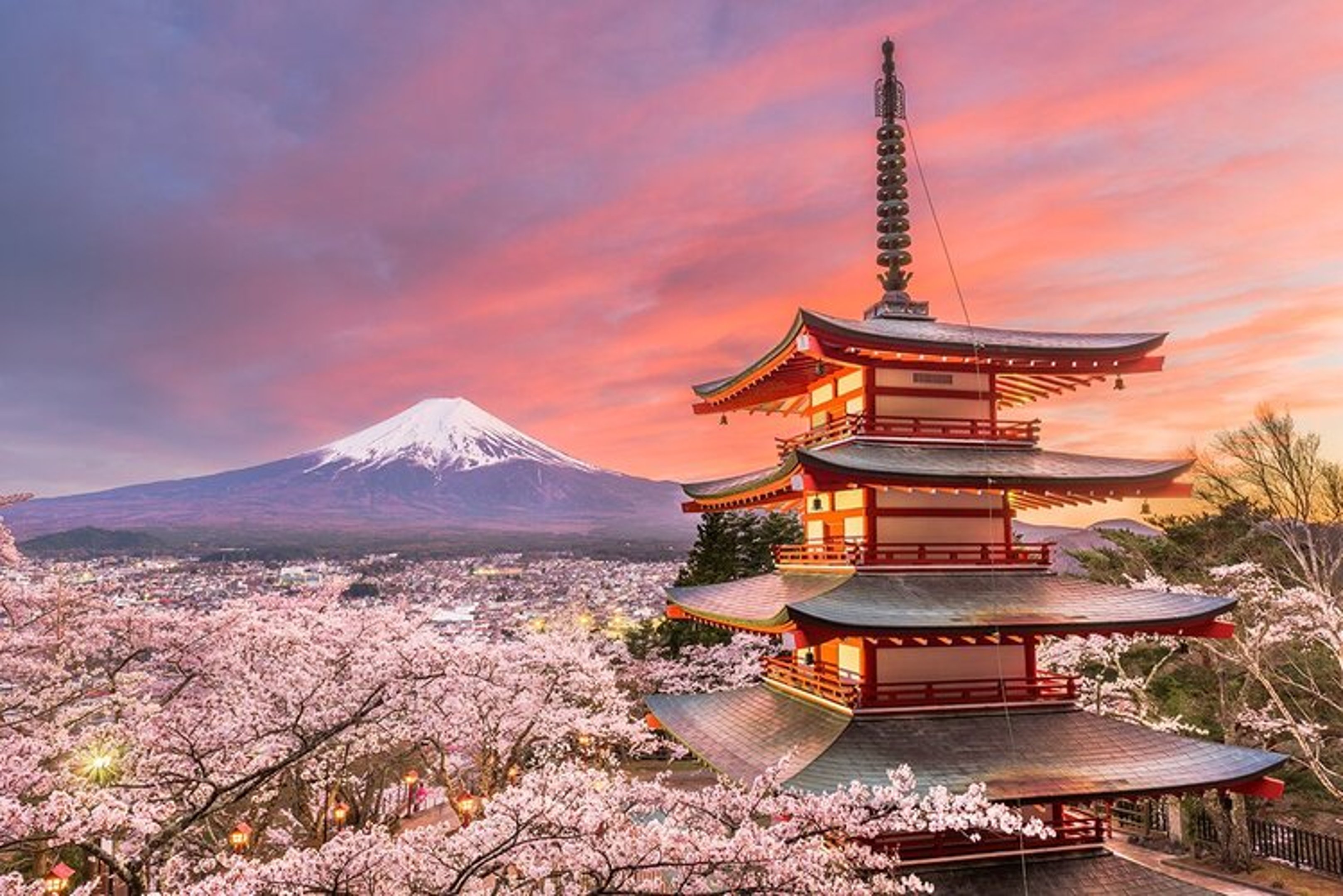  Tokyo transforms into a paradise of Japan's Sakura season  during the spring.