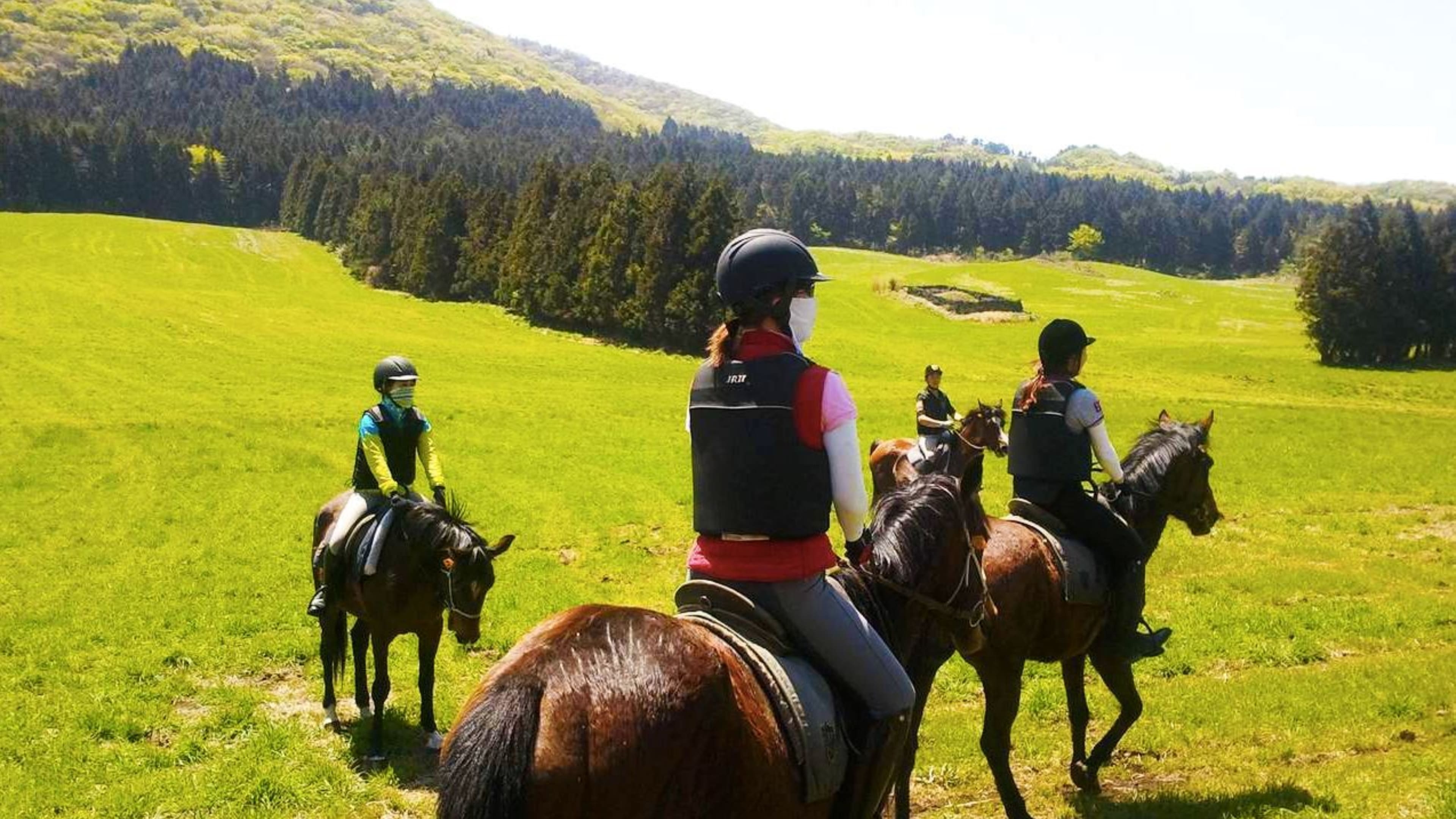 Things to Do in Jeju for Couples - go horse riding