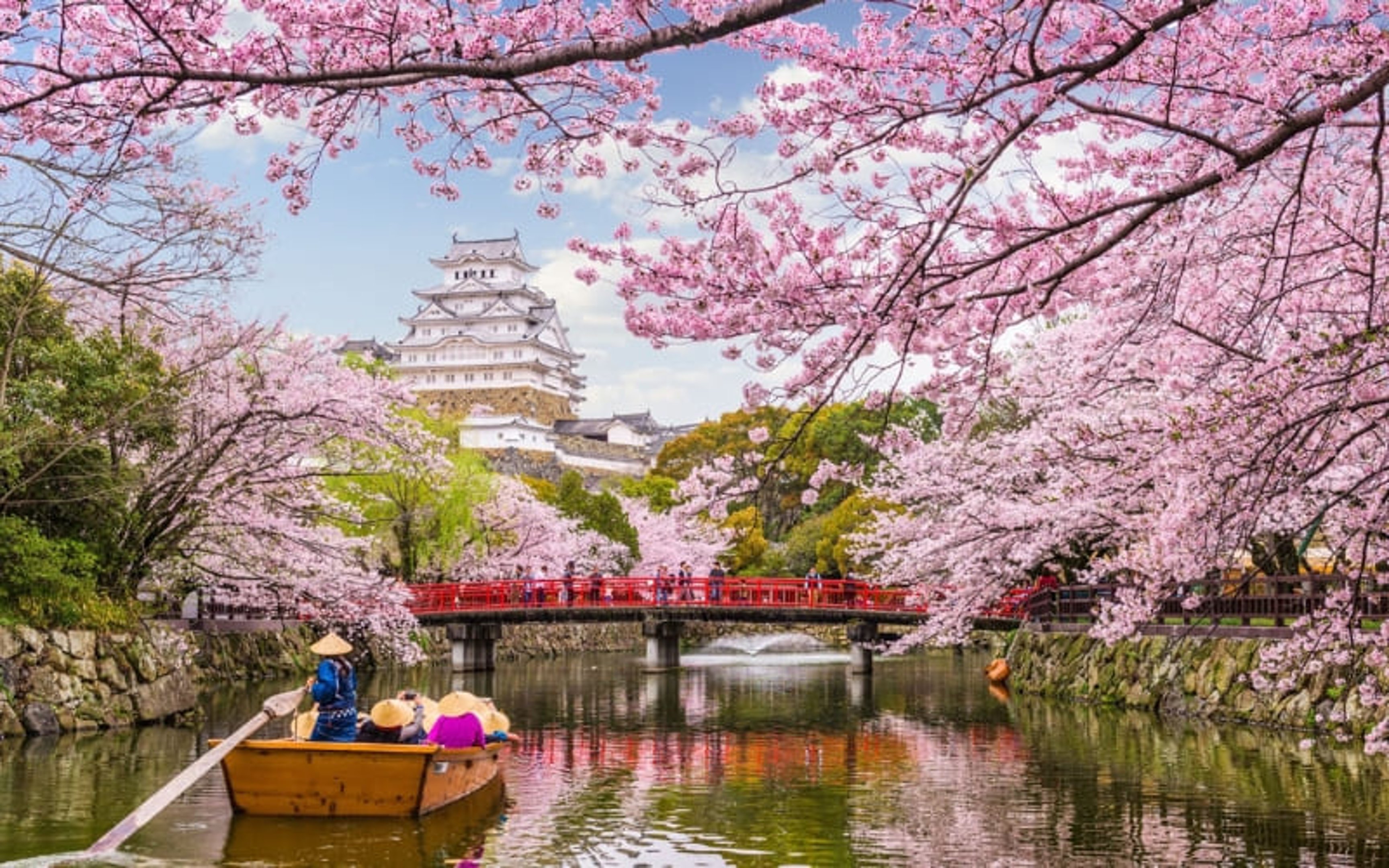 How Much Does It Cost to Travel to Japan on Average