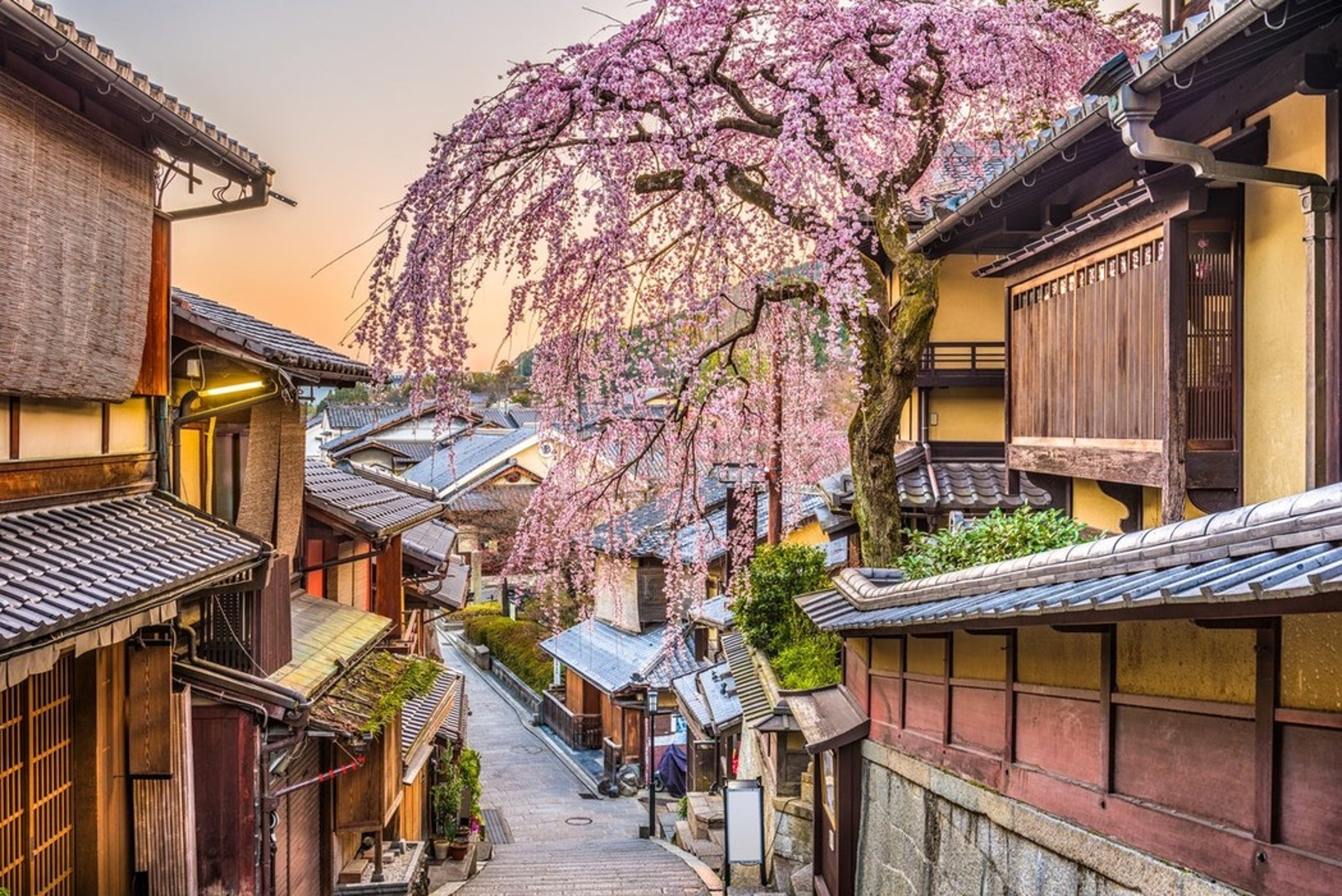 Tips for planning a itinerary for 10 days in japan