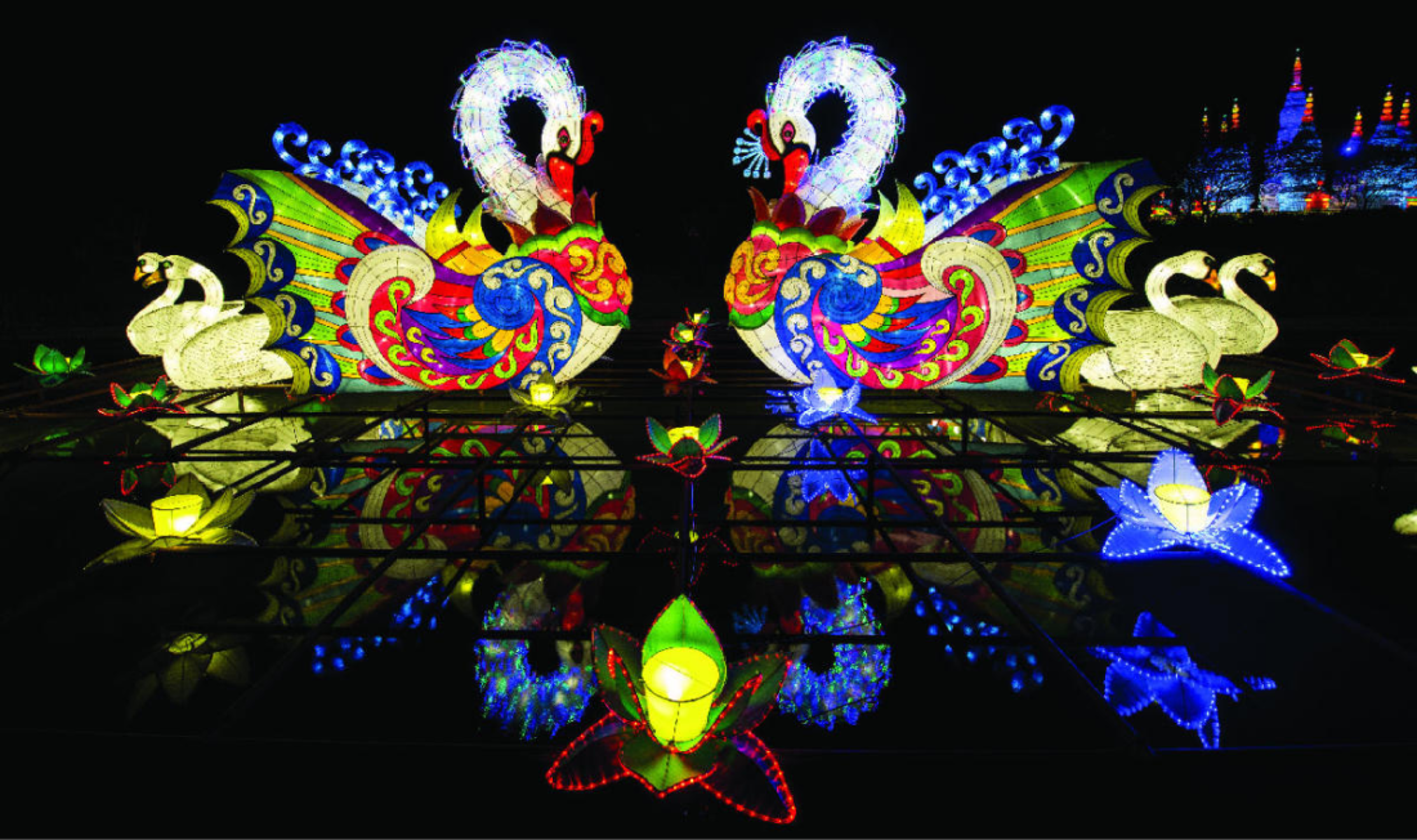  Attend the Cary Lantern Festival