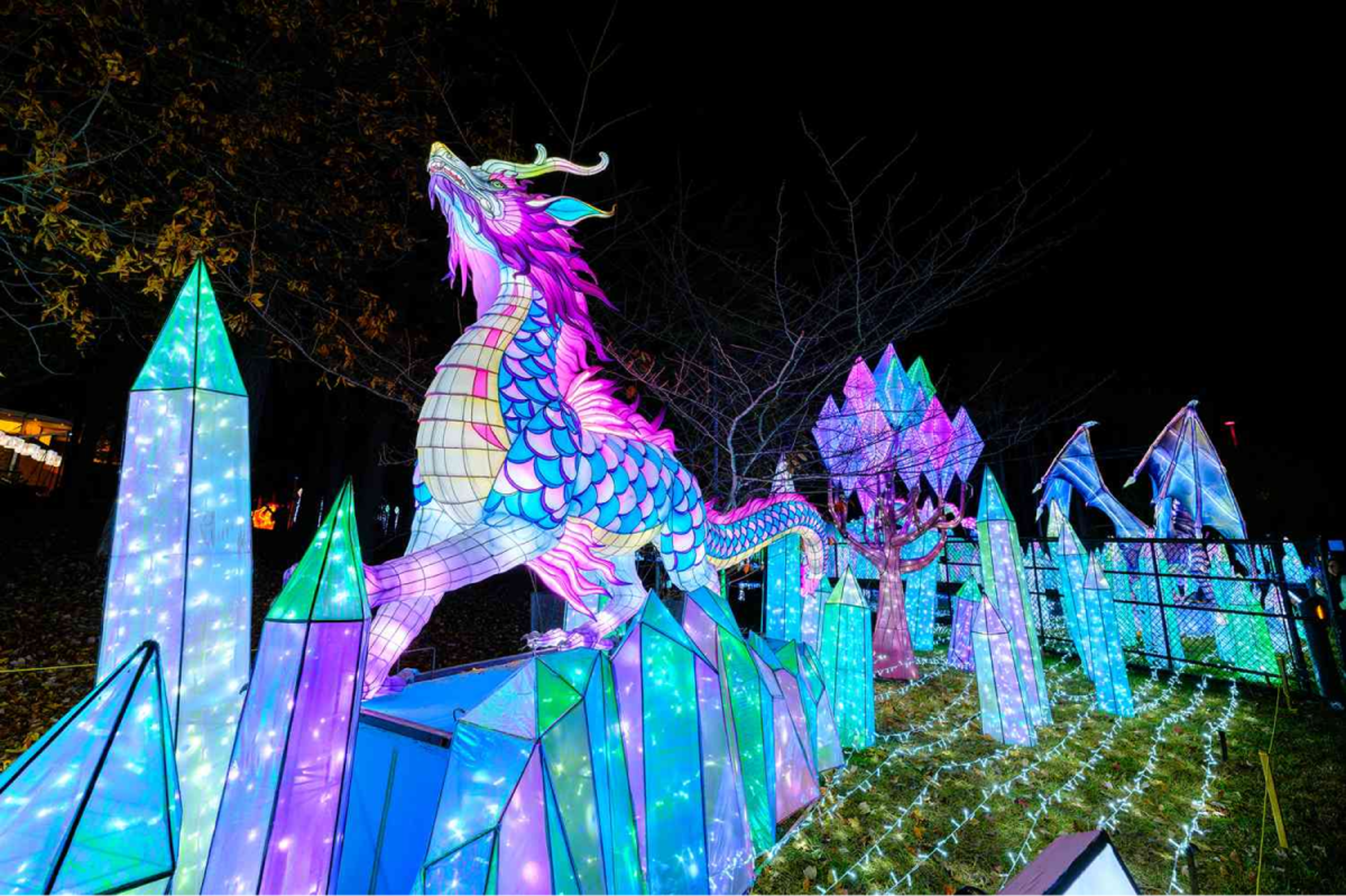 Tips for Visiting the Chinese Lantern Festival in Cary