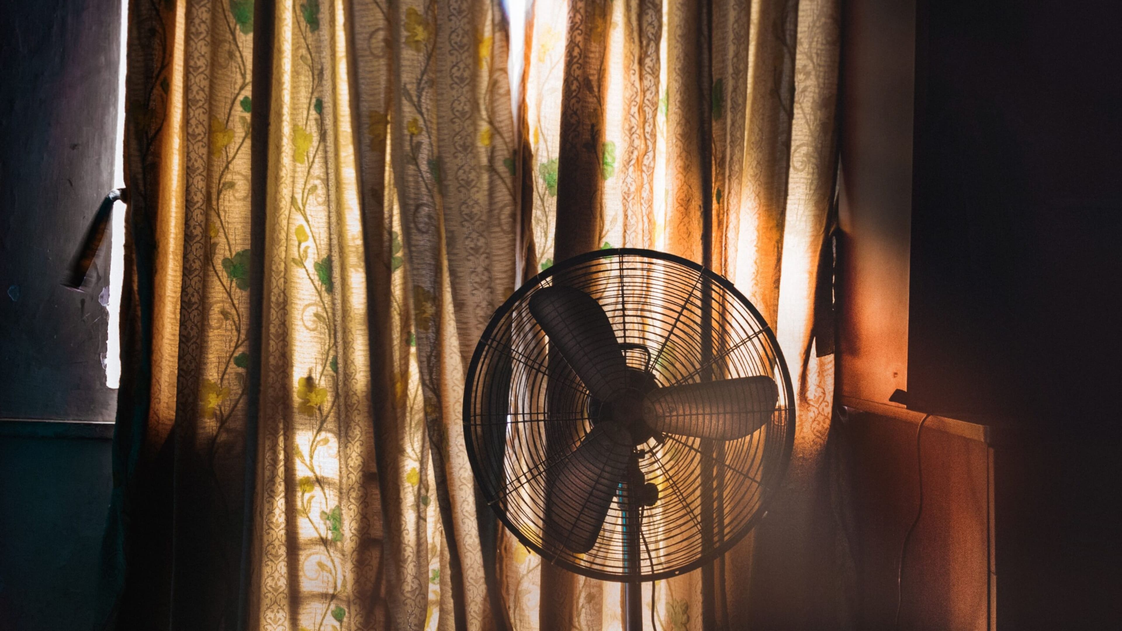 interesting facts about south korea - electric fan death