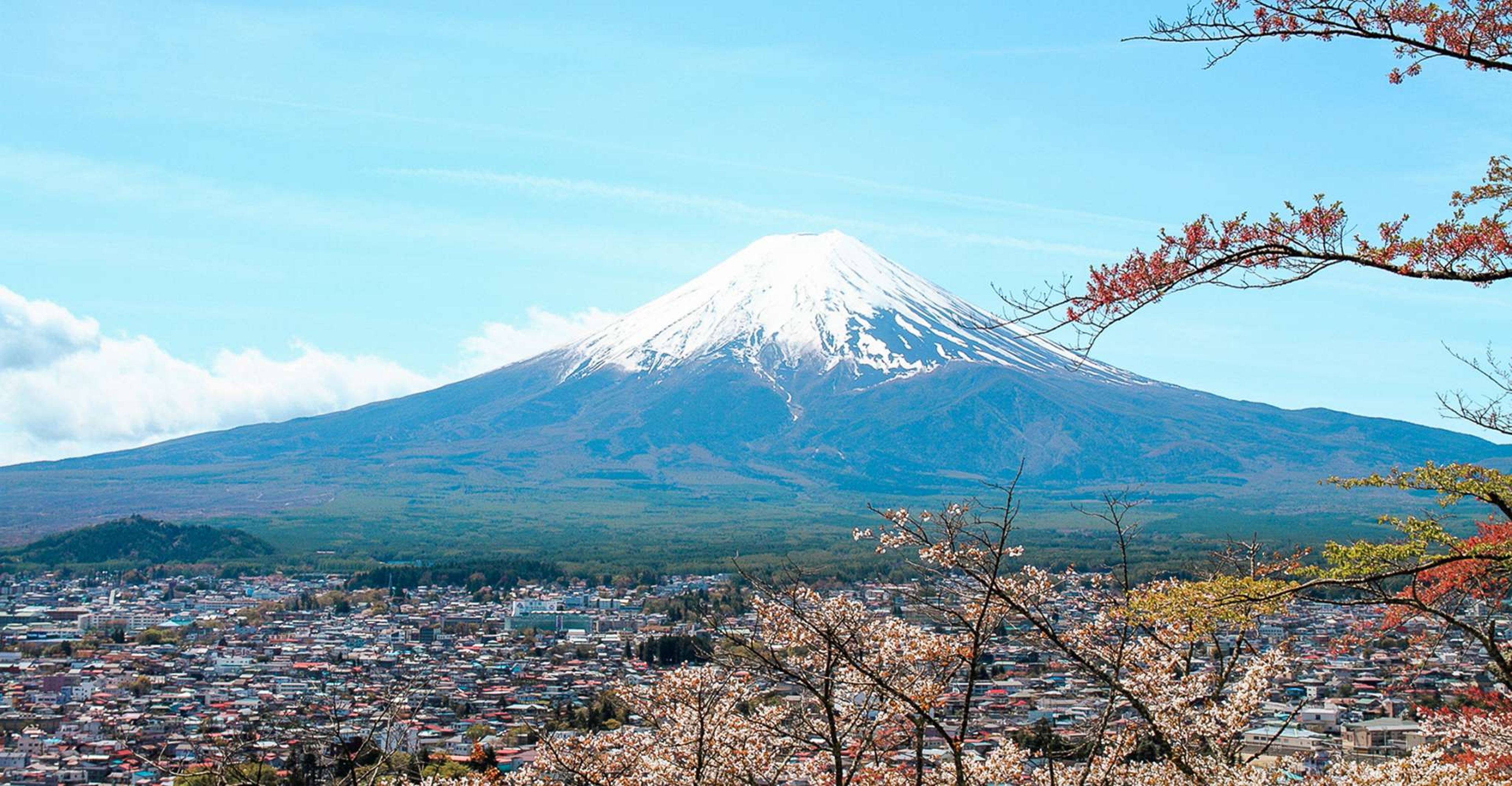 Tokyo to Mount Fuji Day Trip