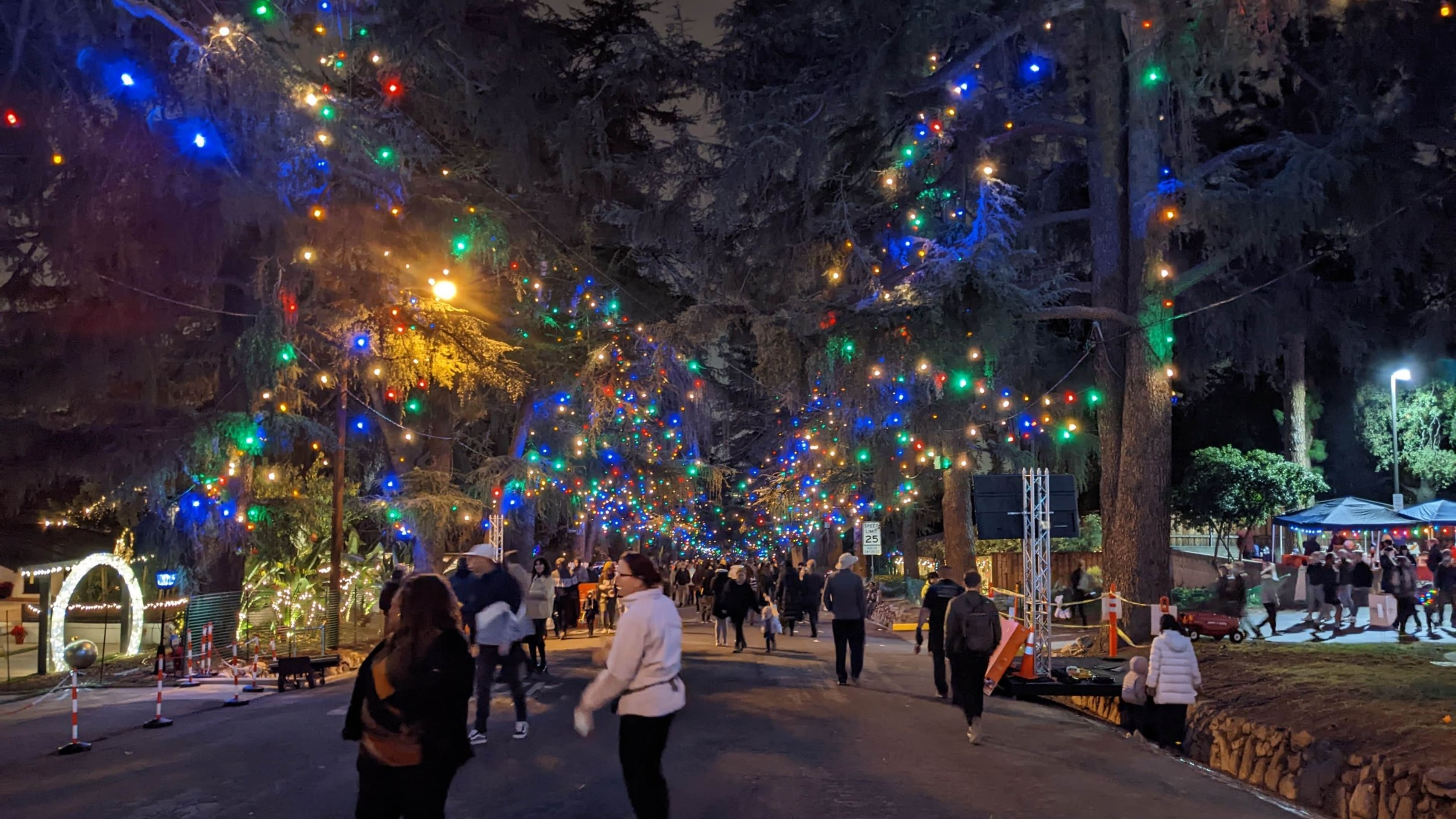 christmas events in los angeles​ - Christmas Tree Lane in Altadena