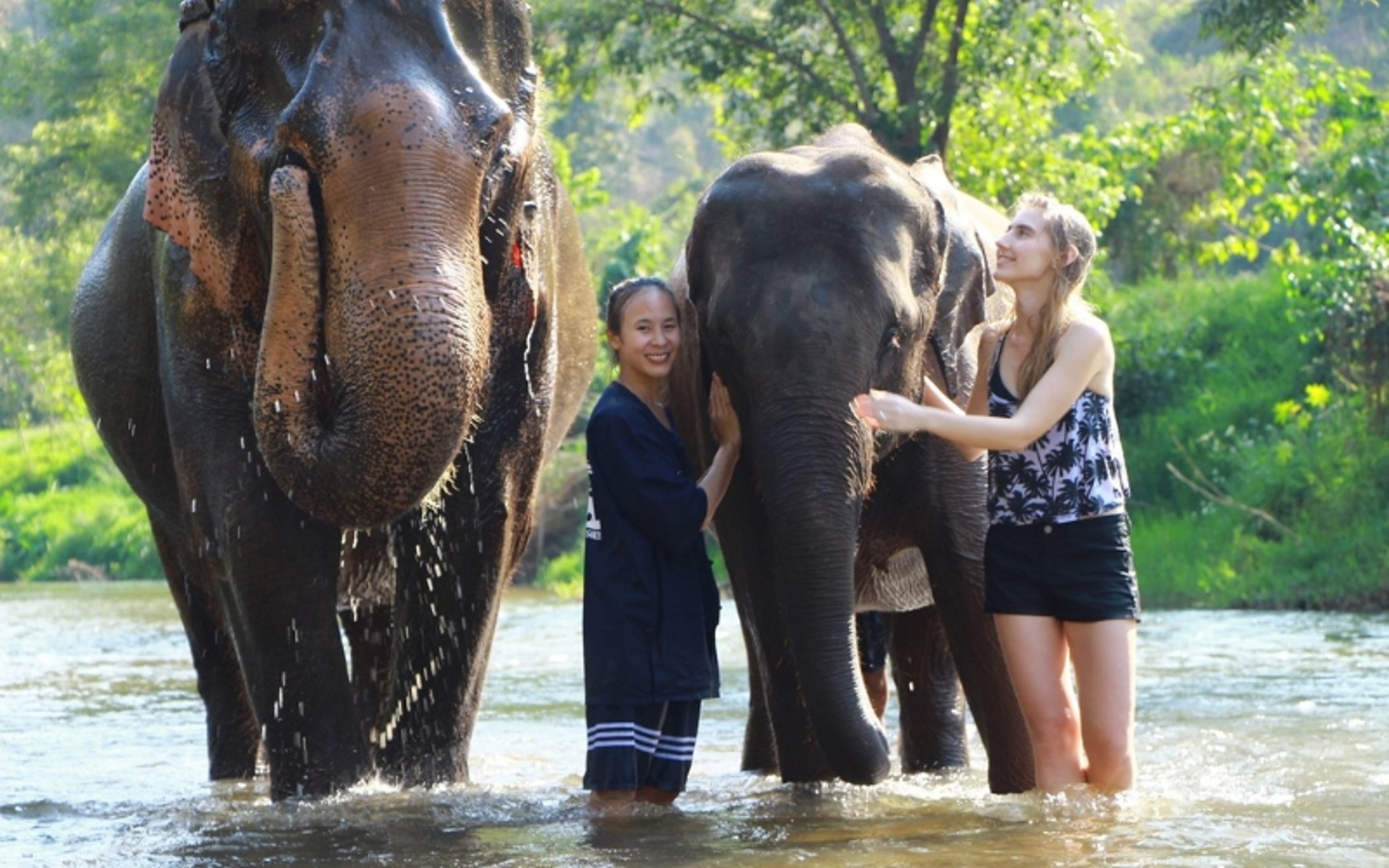 thailand itinerary for 10 days - ethical elephant sanctuary