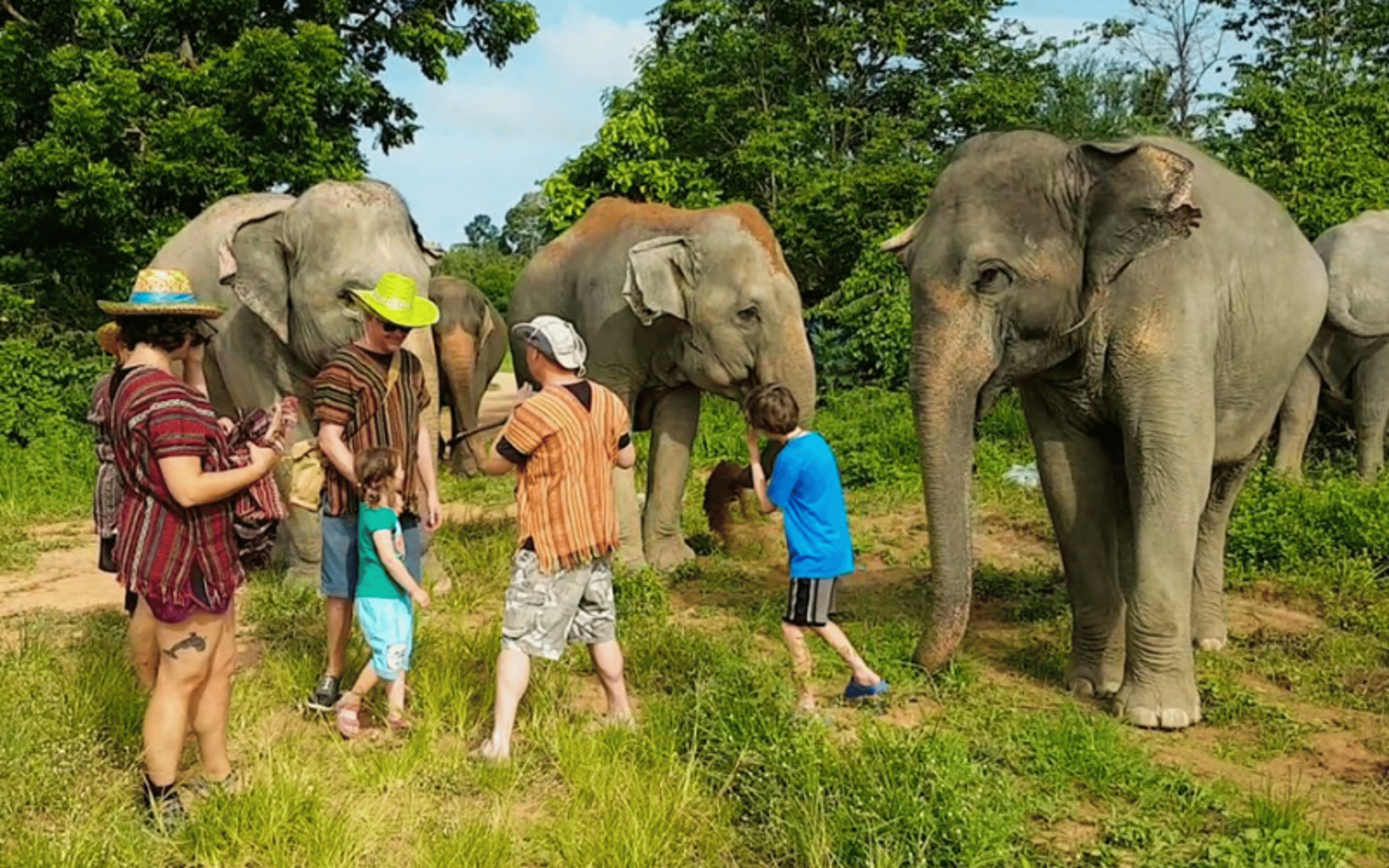 A thing to avoid in Thailand is close interaction with wild animals.