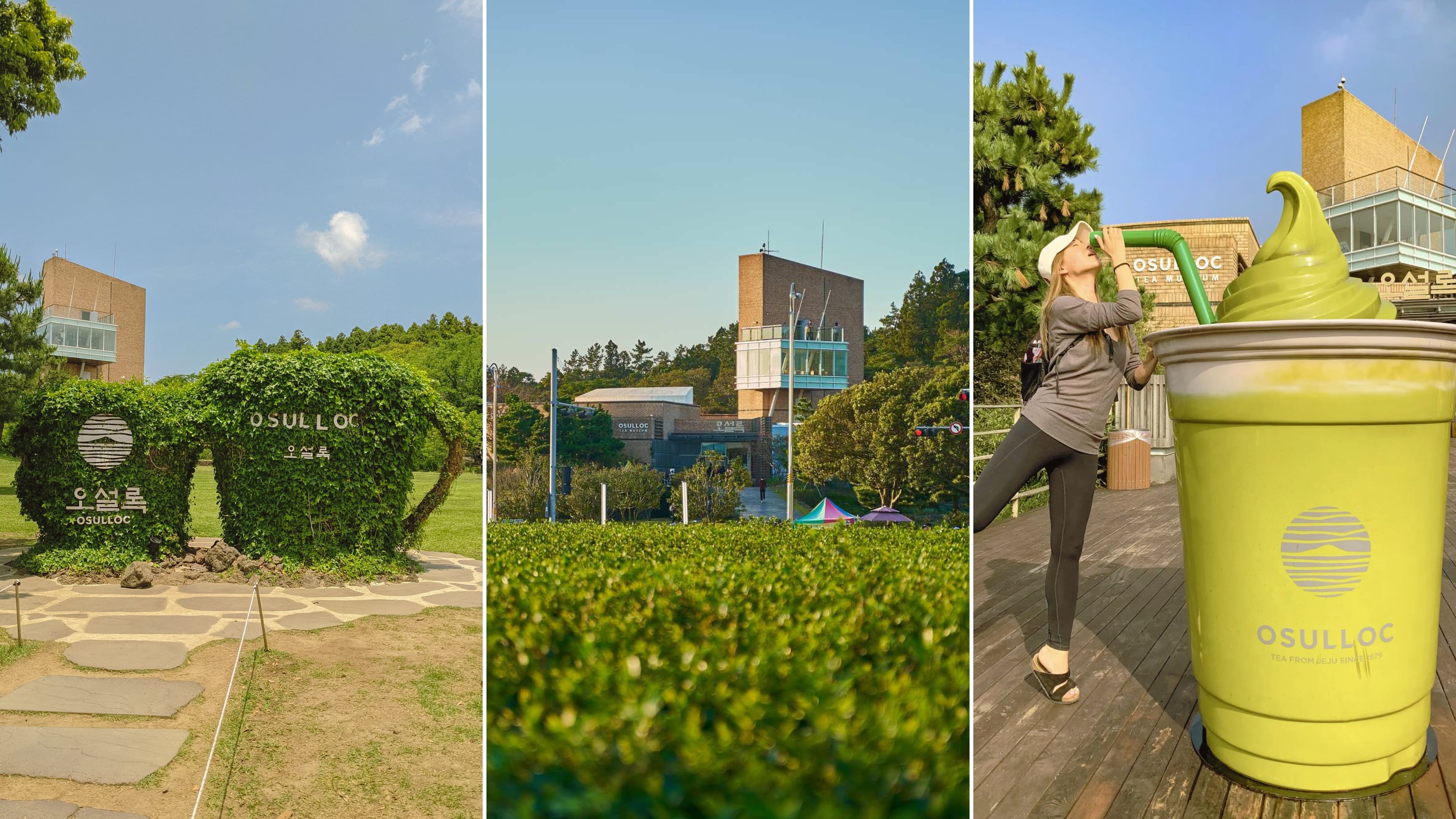 Jeju Island attractions - O’sulloc Tea Museum