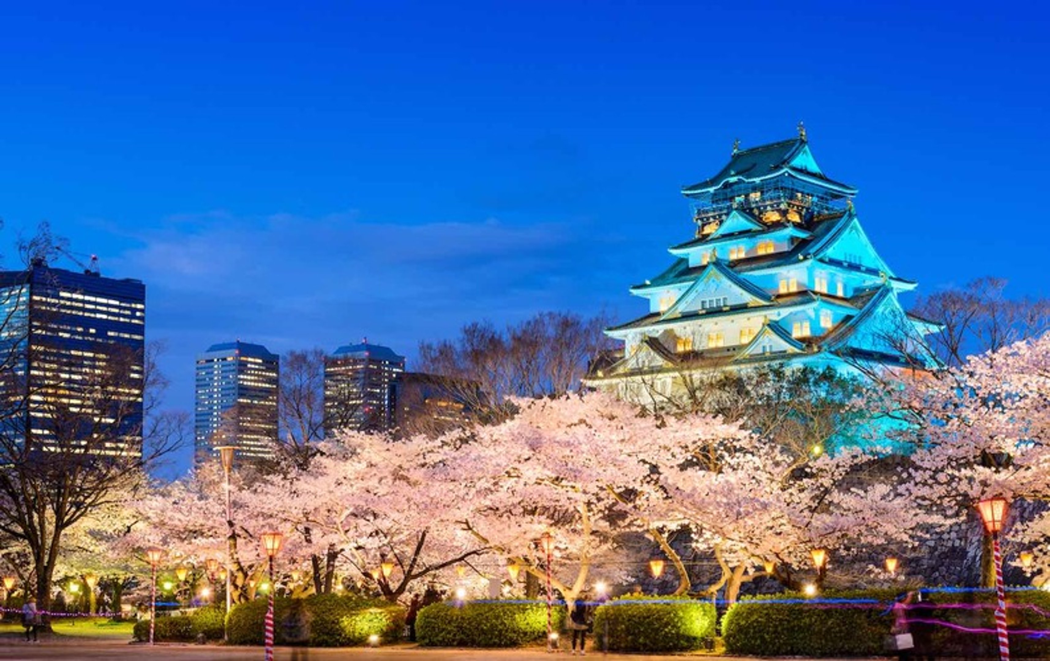 Osaka is a mix of historical landmarks and pink beauty of Japan's Sakura season.