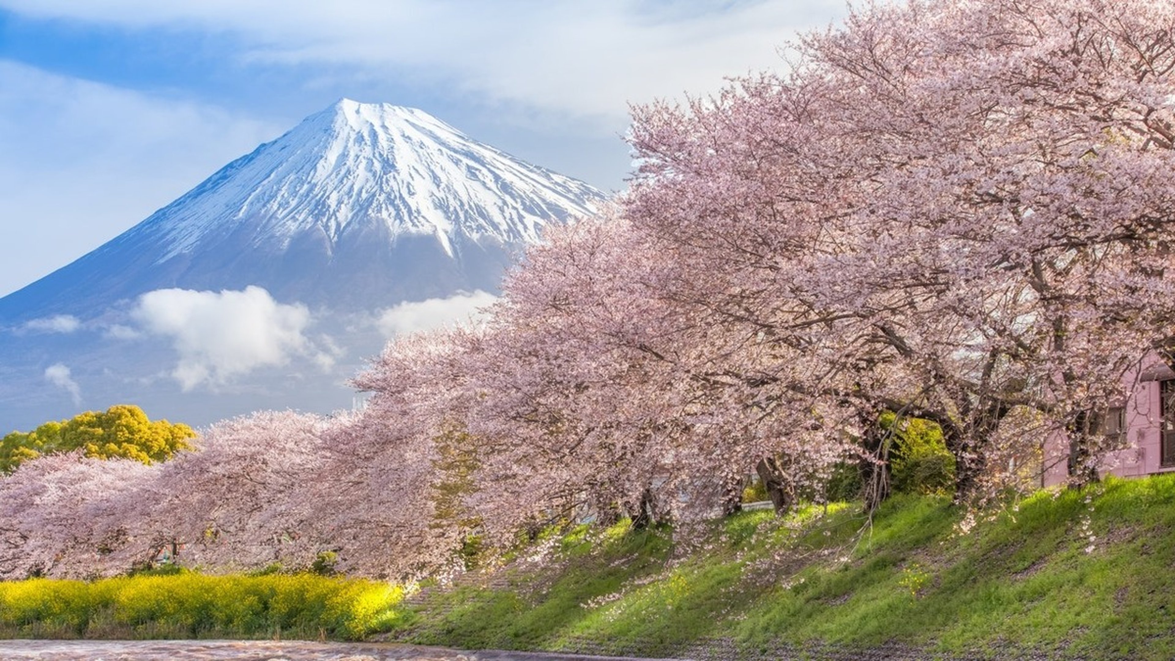 Japan solo travel itinerary - visit Mount Fuji Region