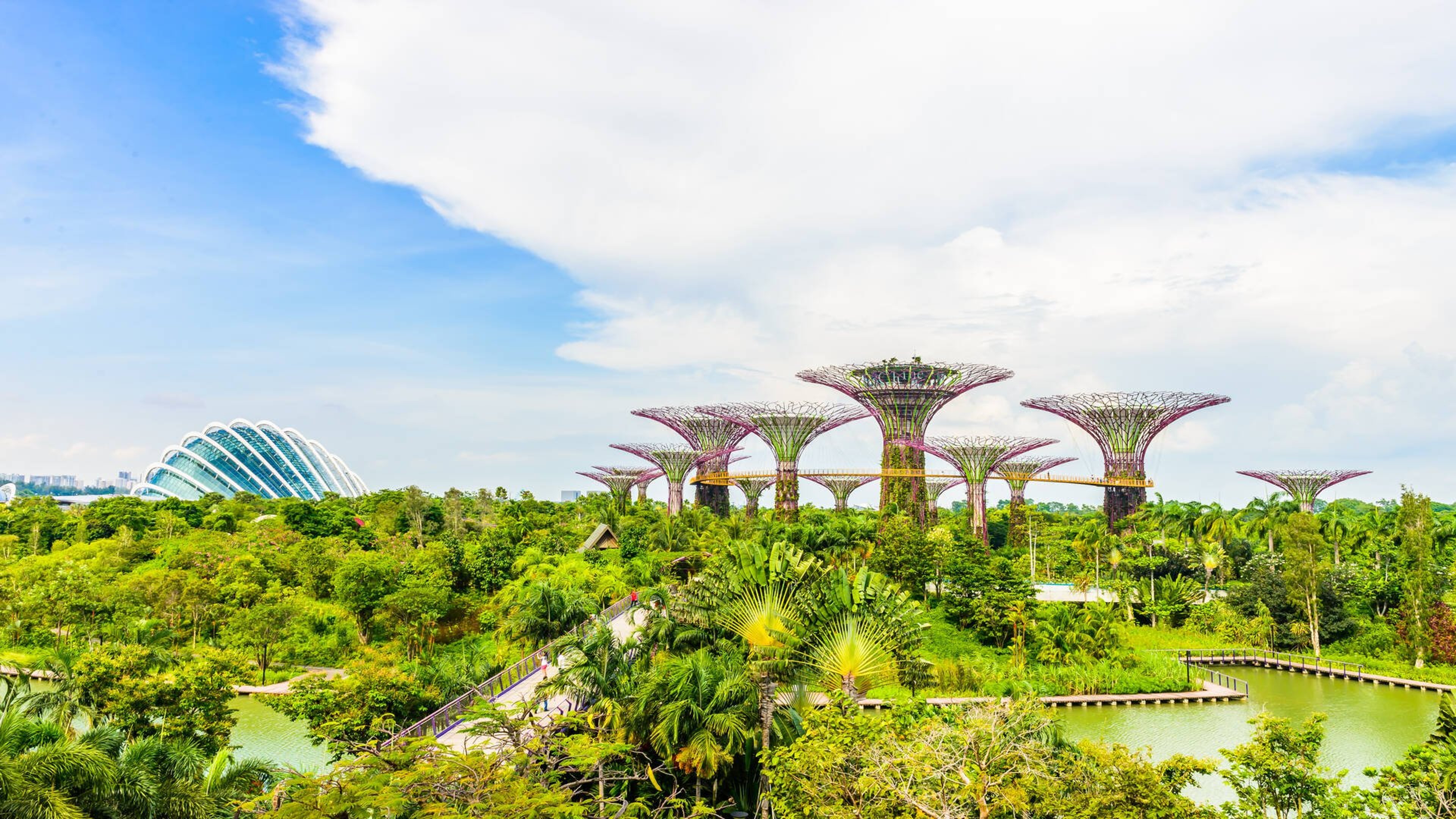 singapore-travel-guide.jpeg59937d